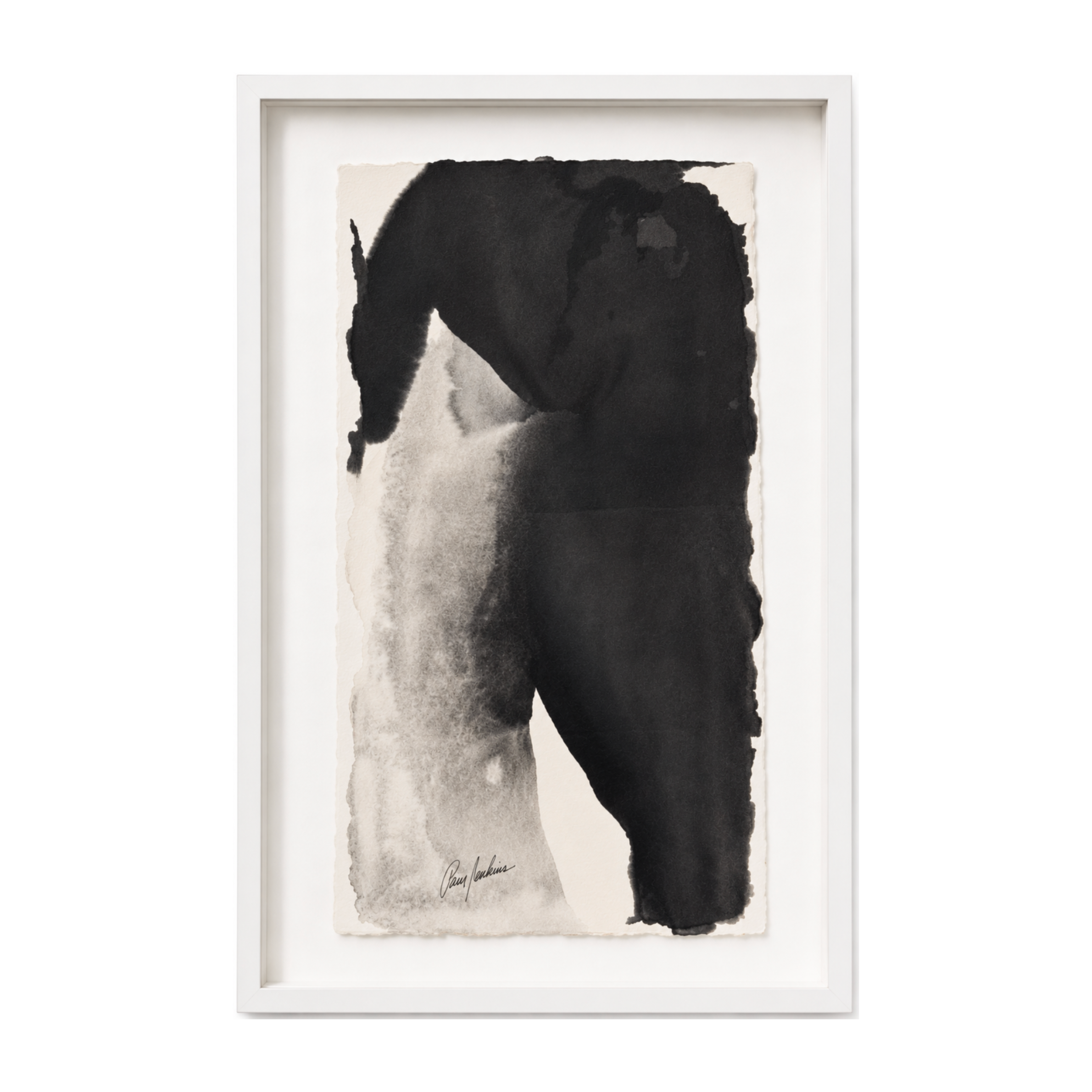 Paul Jenkins -