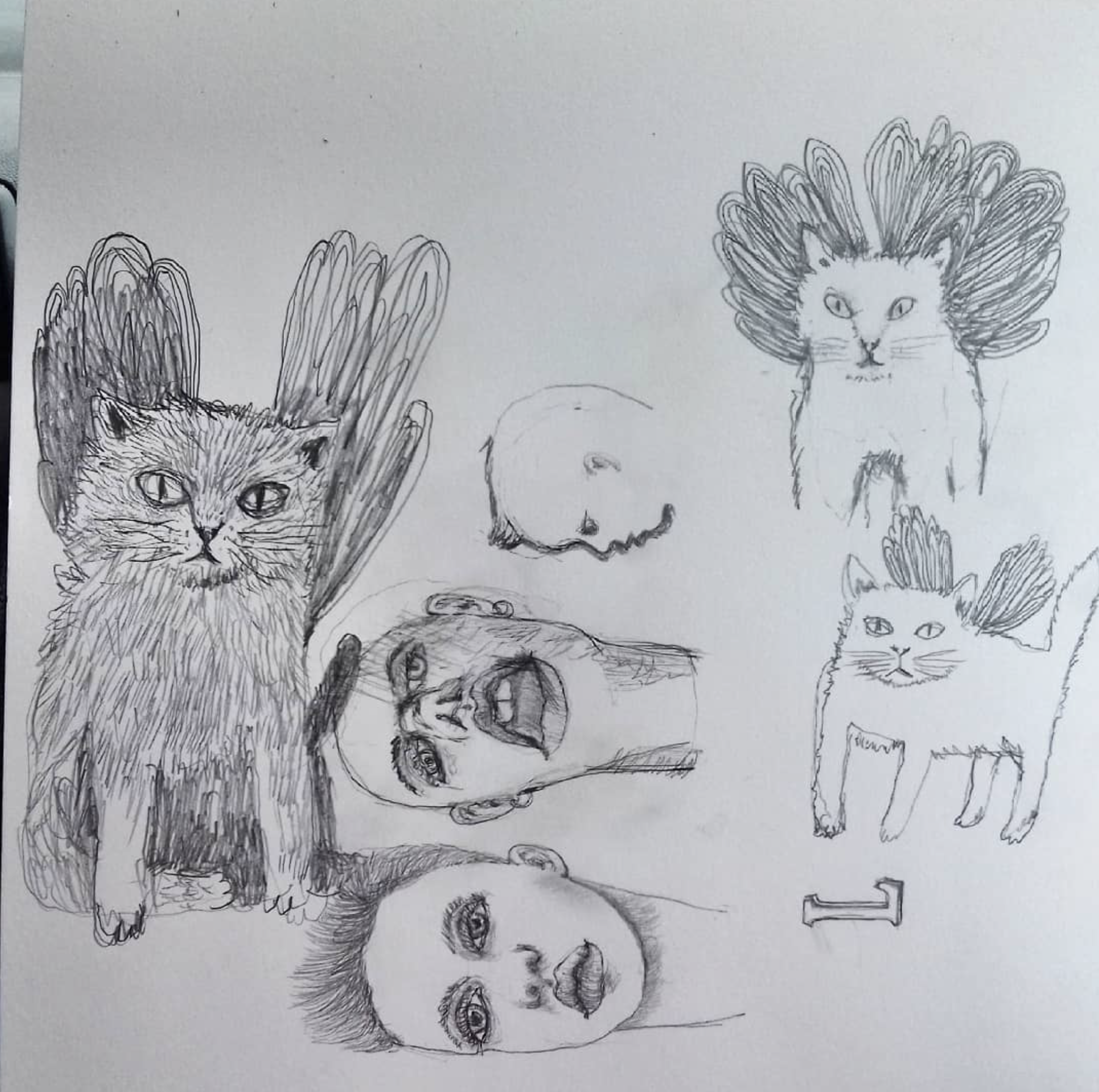 A collection of pencil sketches including two realistic cats with wings-like fur, two human faces showing expressive emotions, a skull outline, and a letter "I".