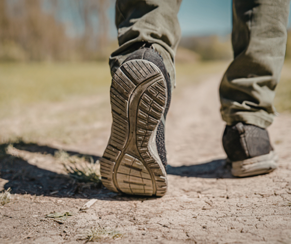 What Your Body May Still Be Carrying — And How Terrain Medicine Can Help
