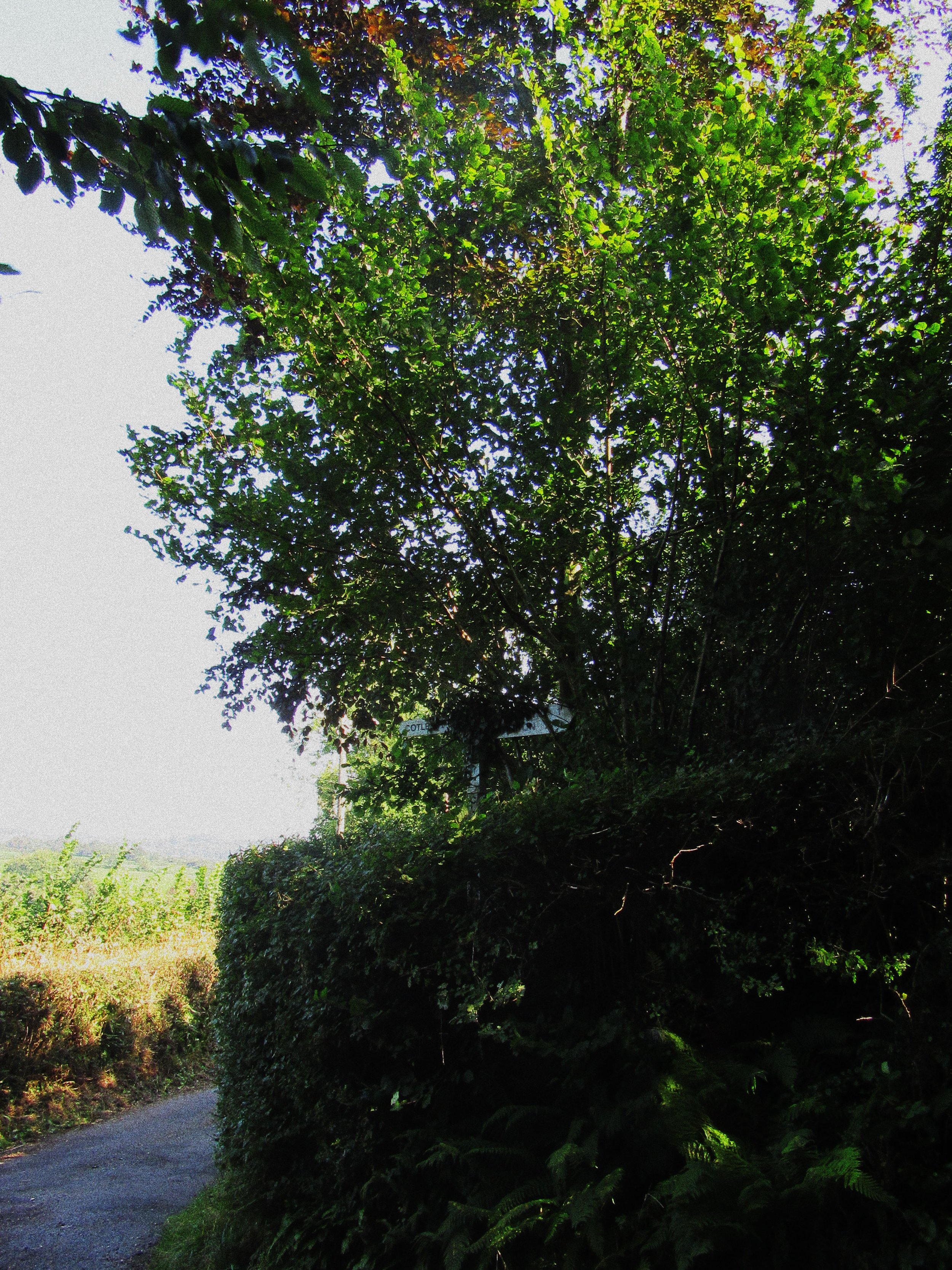 2024-09-16_Cornwall_IMG_1044_V02.jpg