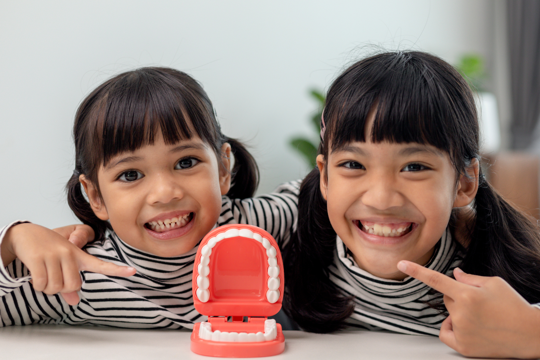 COMMUNITY SMILE PROJECT