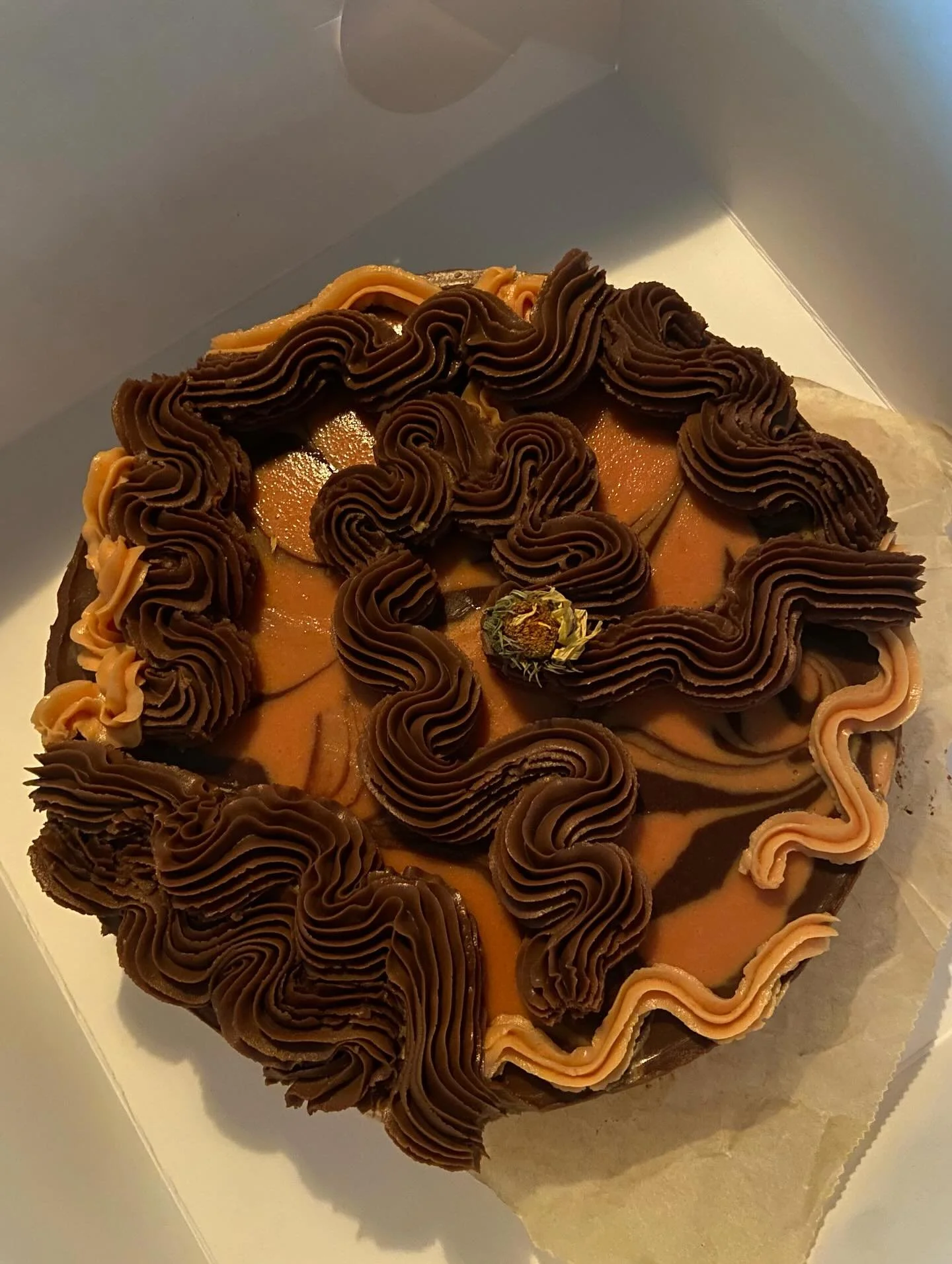 𝕽𝖆𝖜 𝕱𝖆𝖟𝖊𝖗𝖎𝖓𝖆 💕