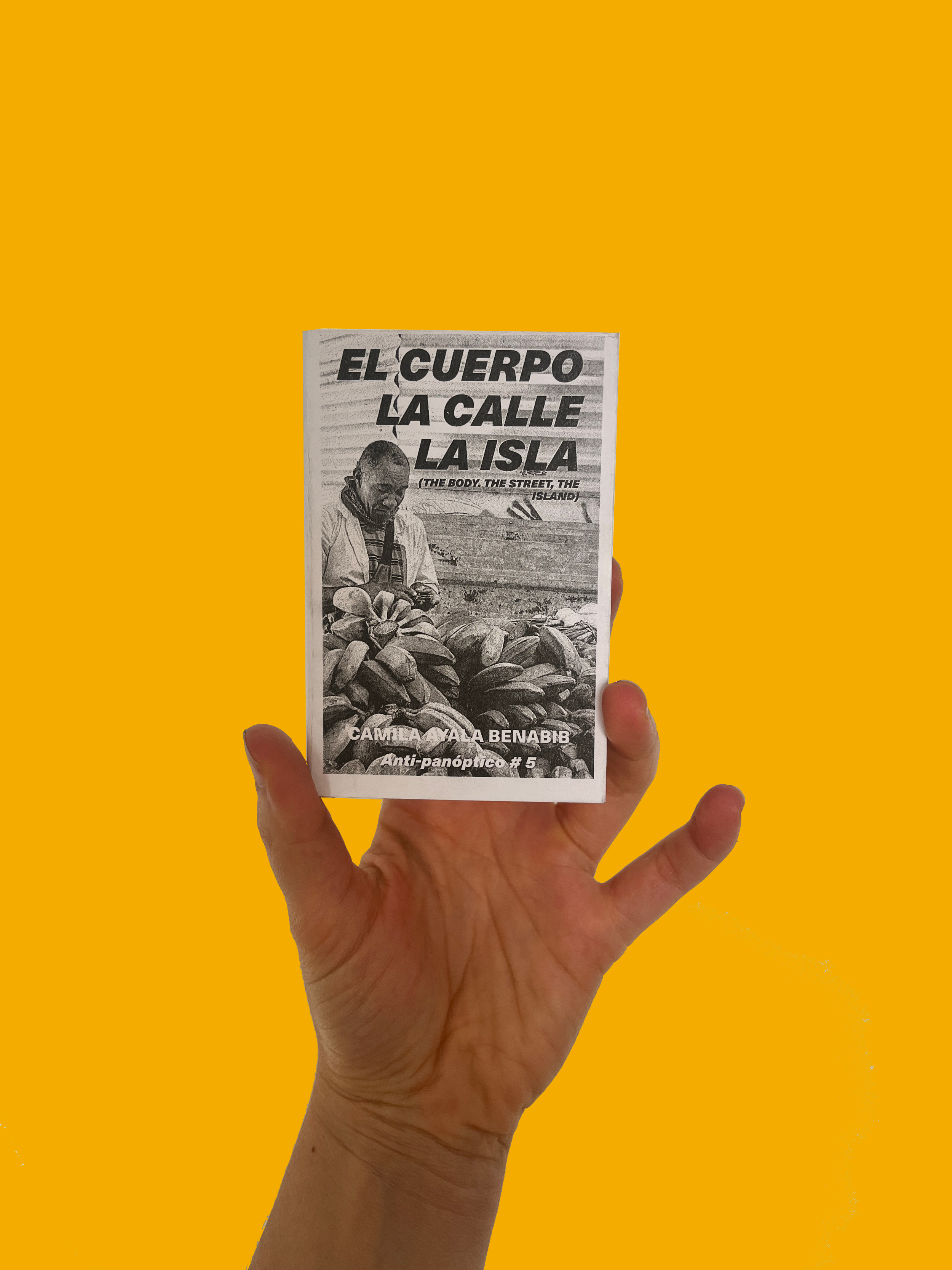 Zine_El alma, el cuerpo, la isla_1.png