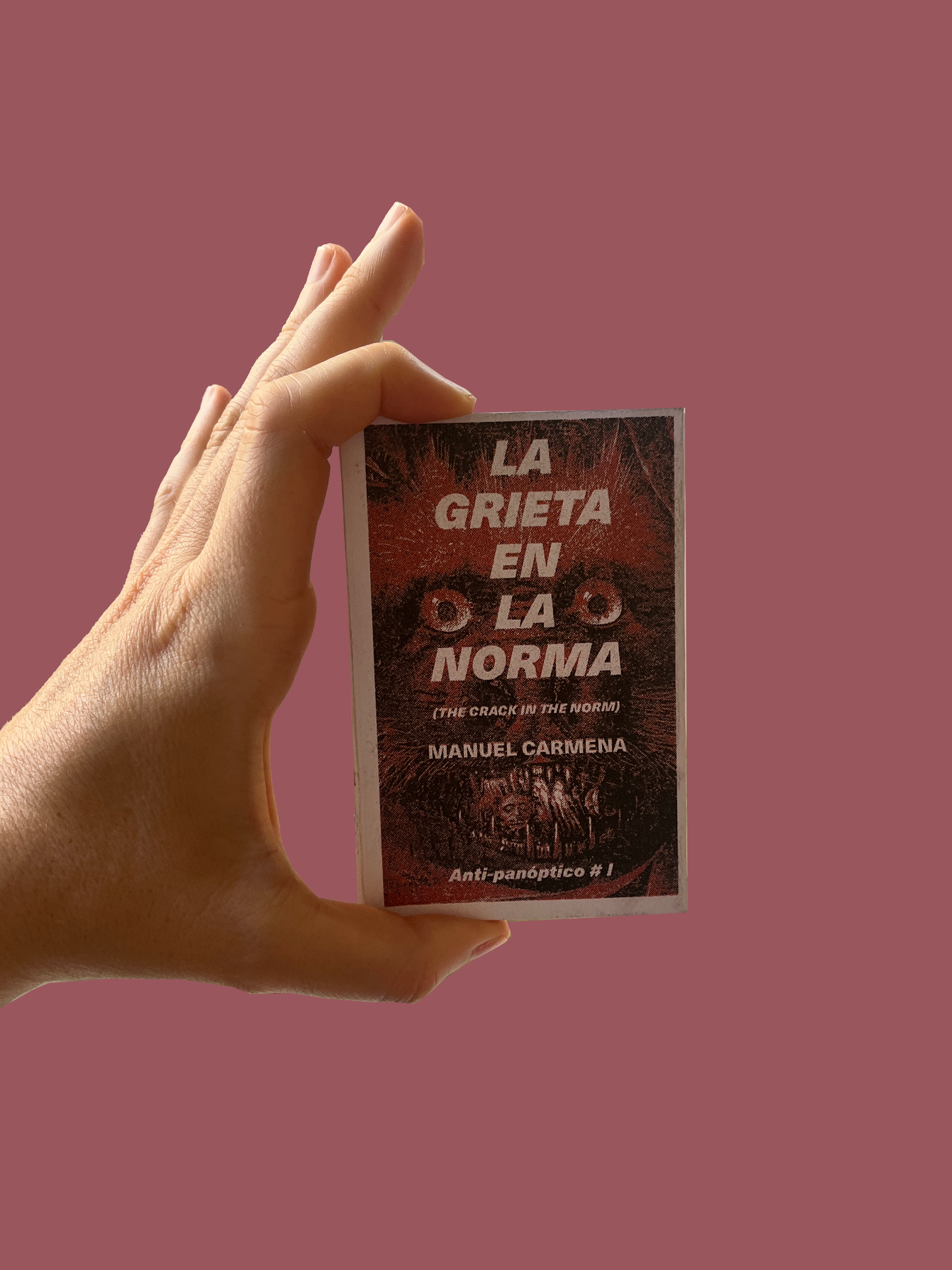 Zine_La grieta en la norma_3.png