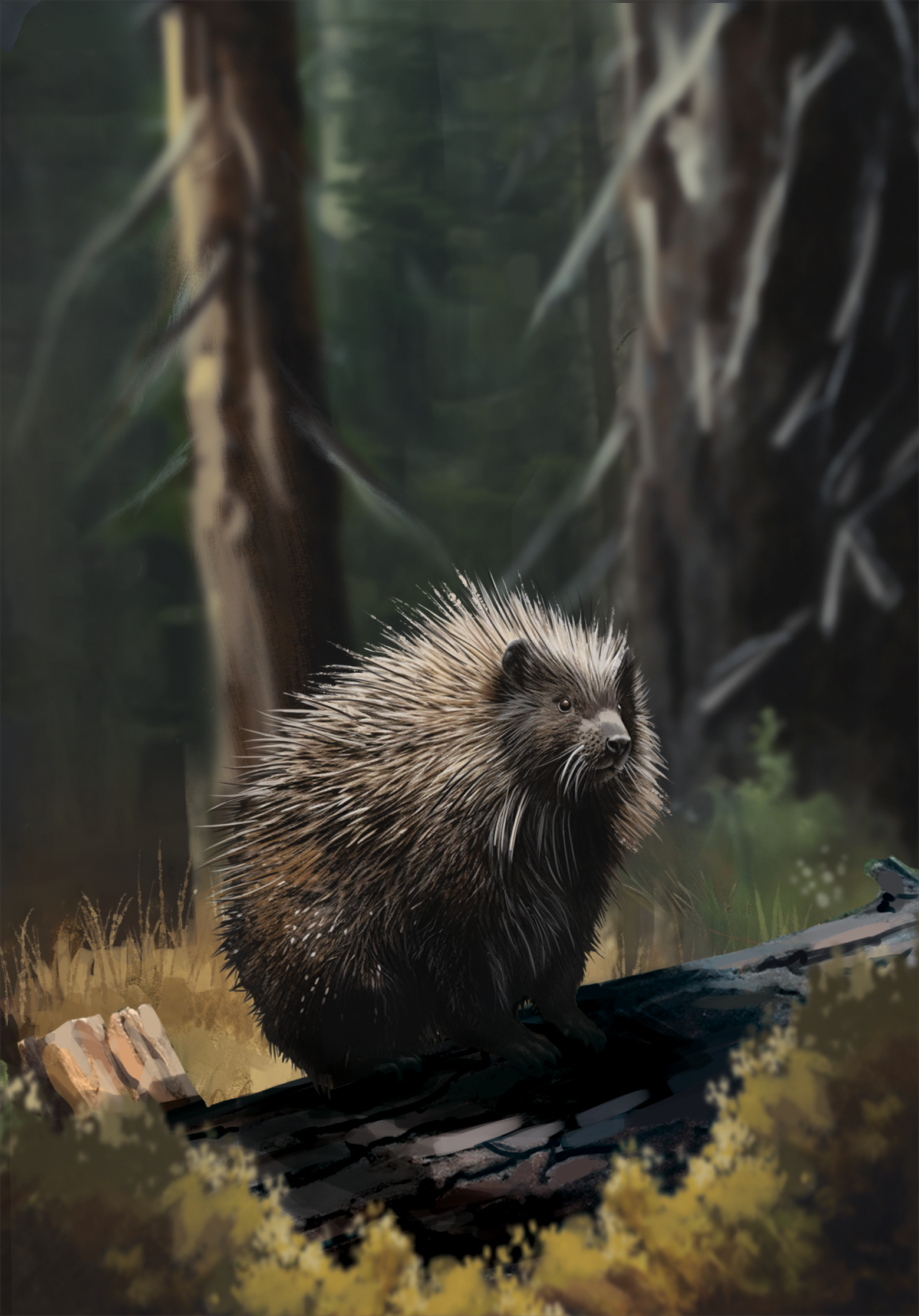 Western Legends Stories - Porc-Épic