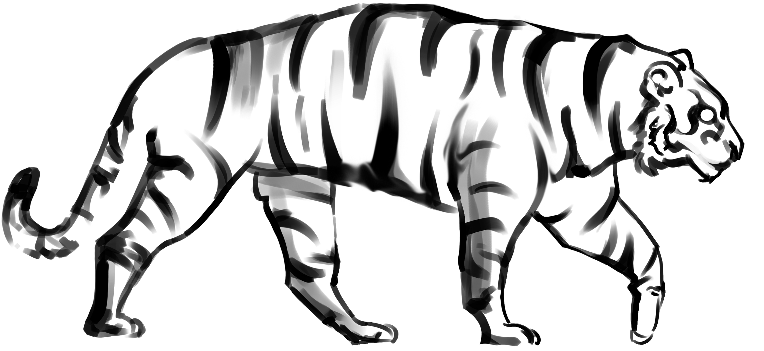 Concept Art - Tigre Blanc