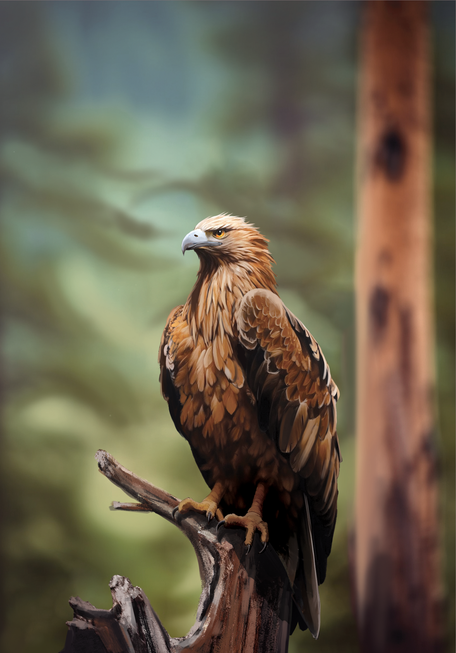 Western Legends Stories - Aigle
