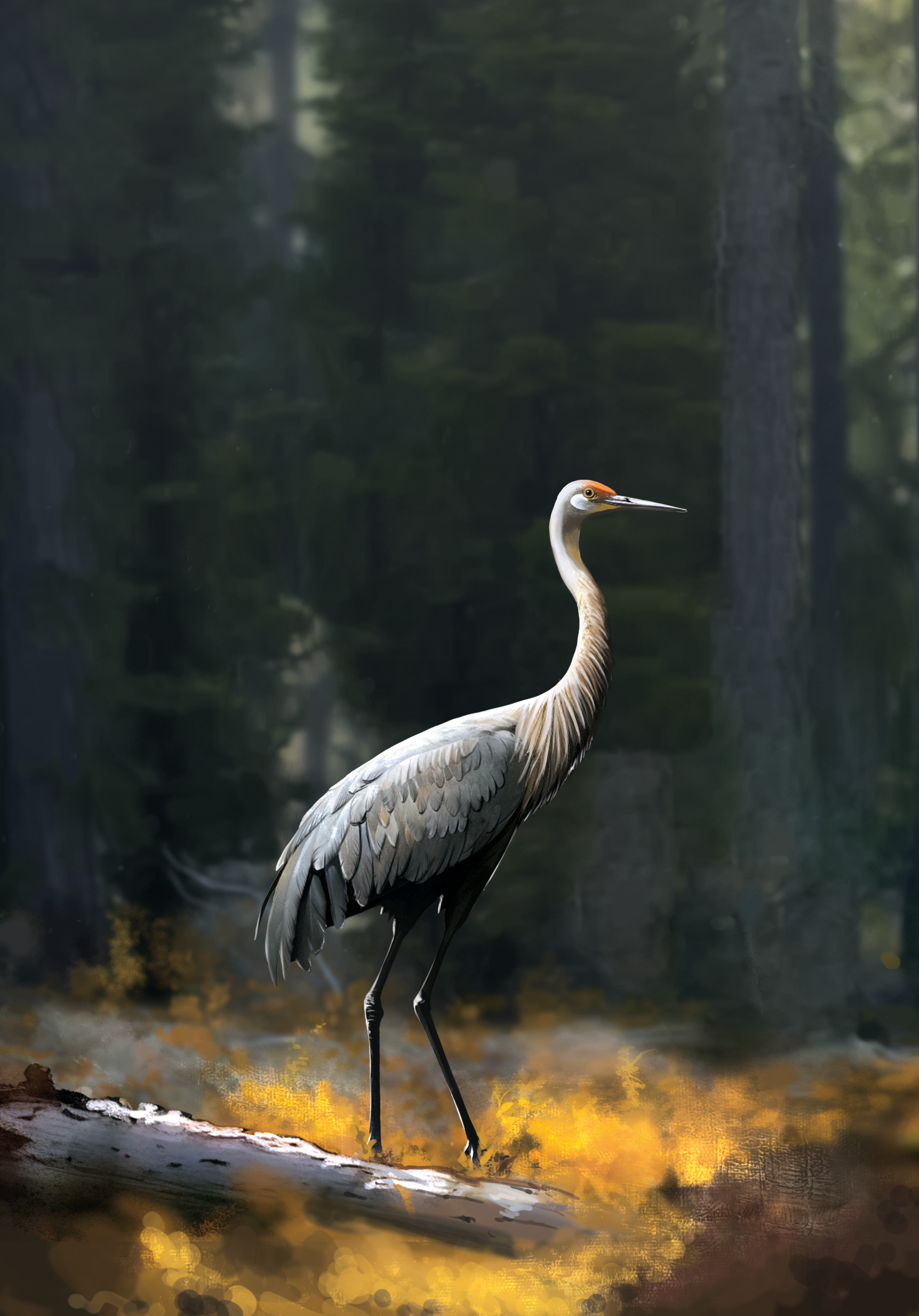 Western Legends Stories - Grue