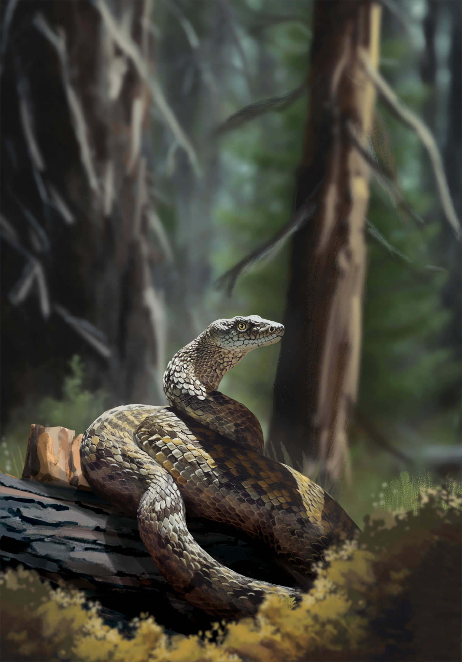 Western Legends Stories - Serpent à sonnette