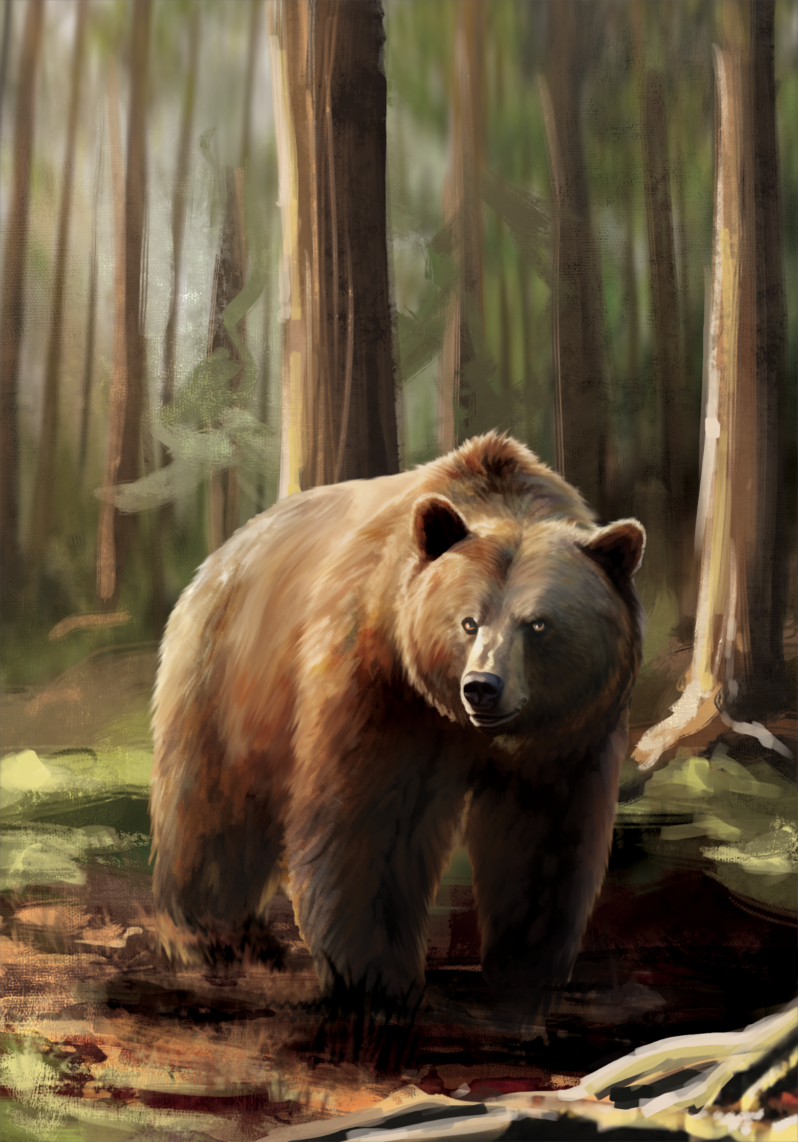 Western Legends Stories - Grizzli