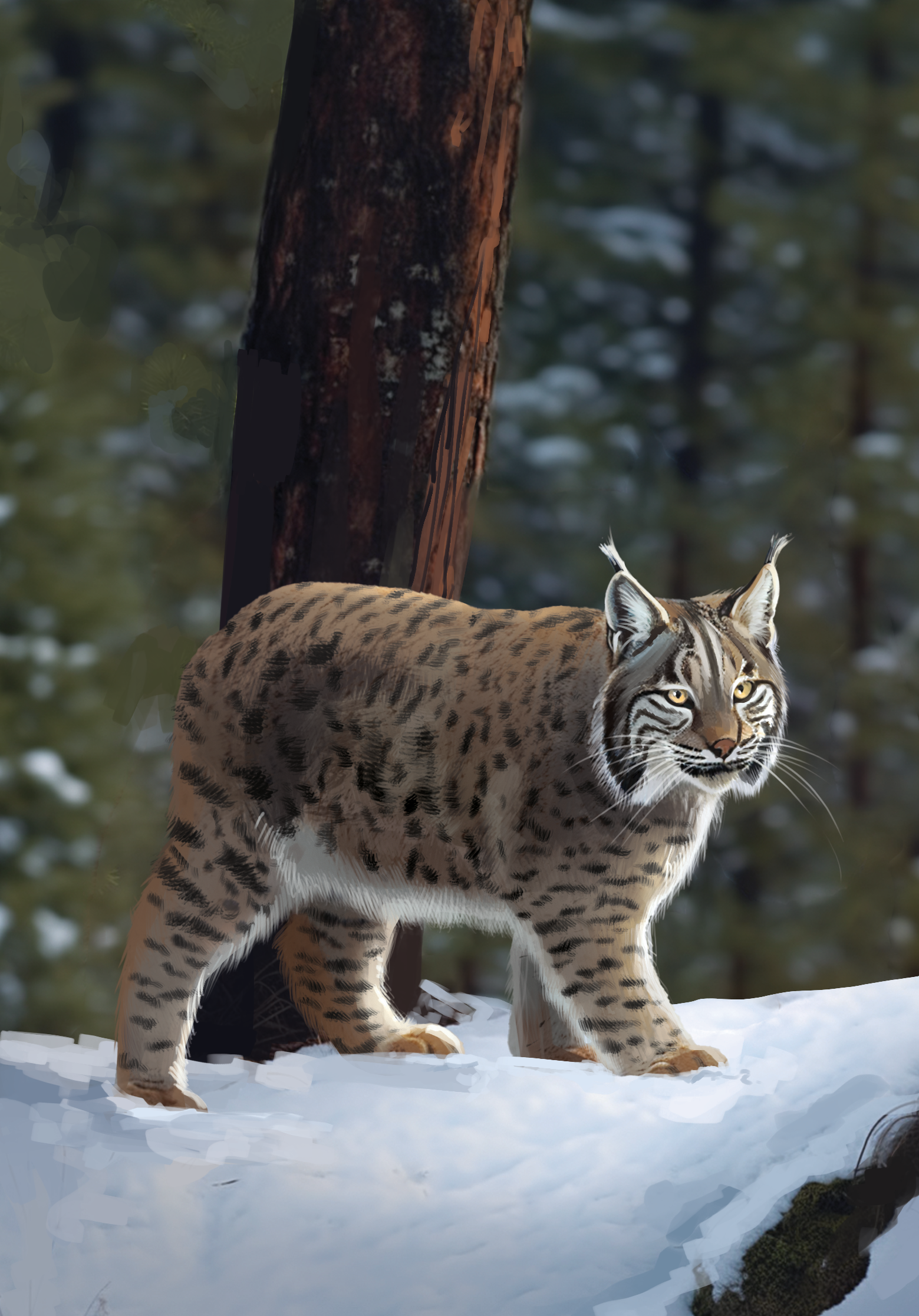 Western Legends Stories - Lynx