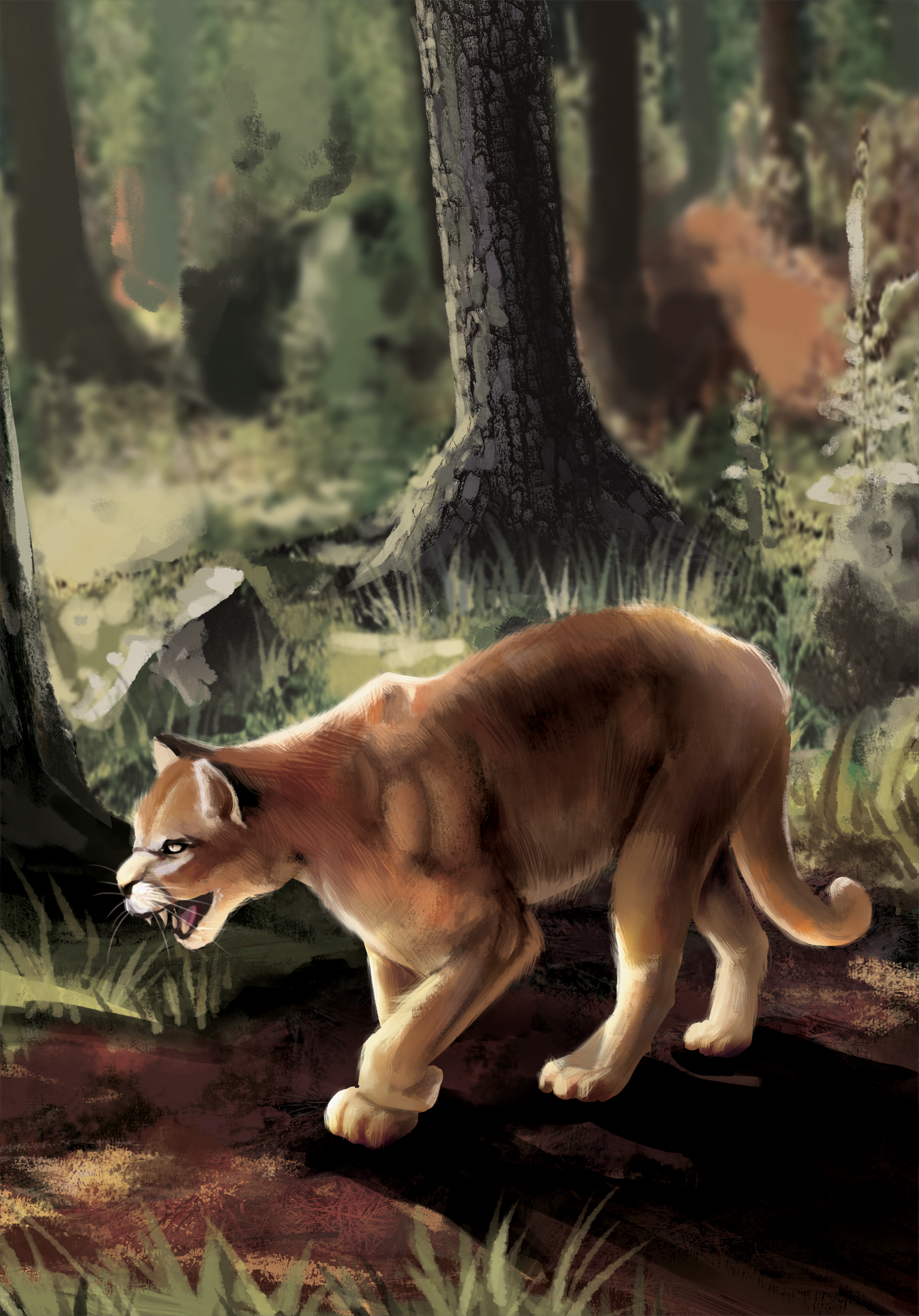 Western Legends Stories - Cougar