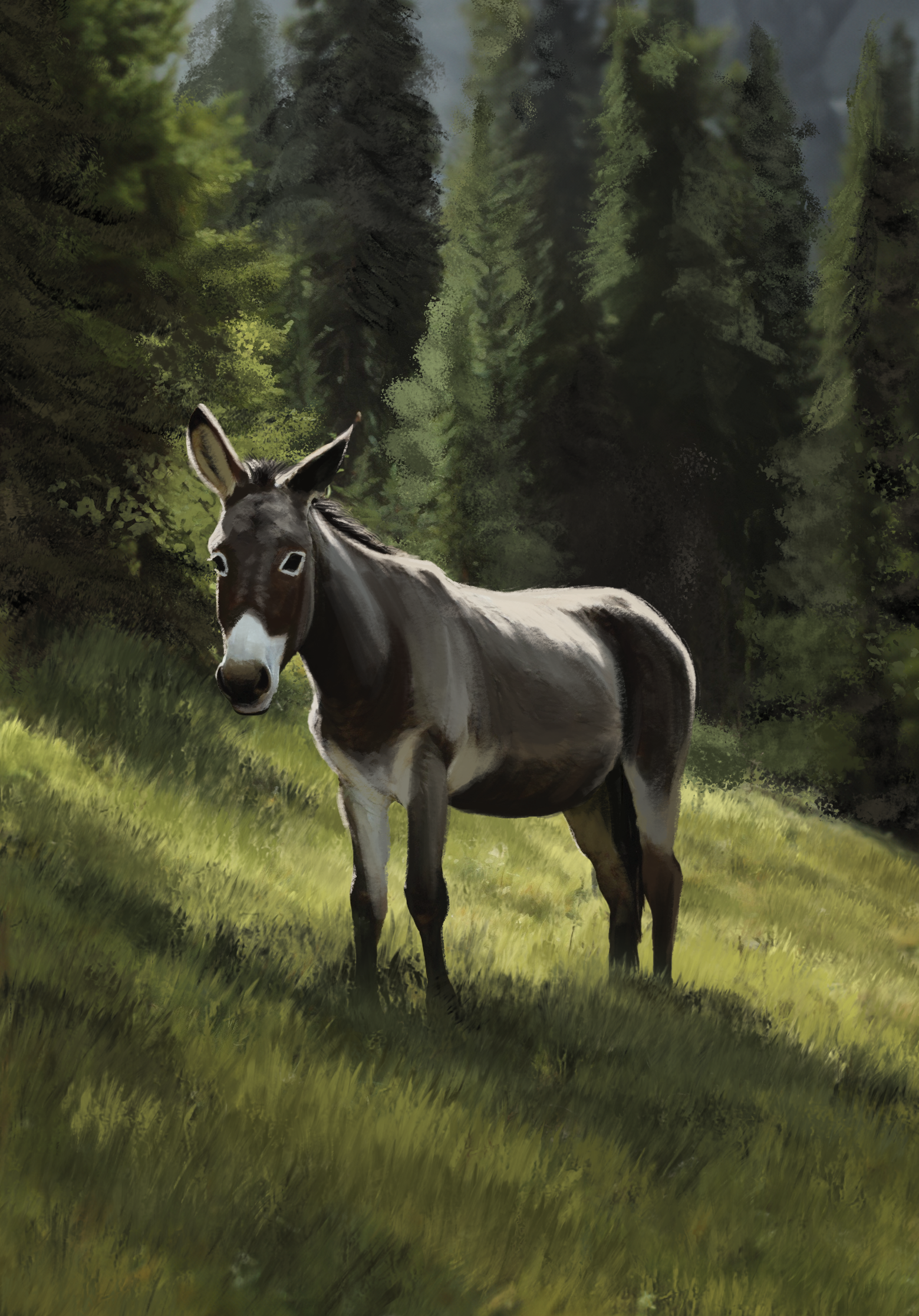 Western Legends Stories - Vieil Âne