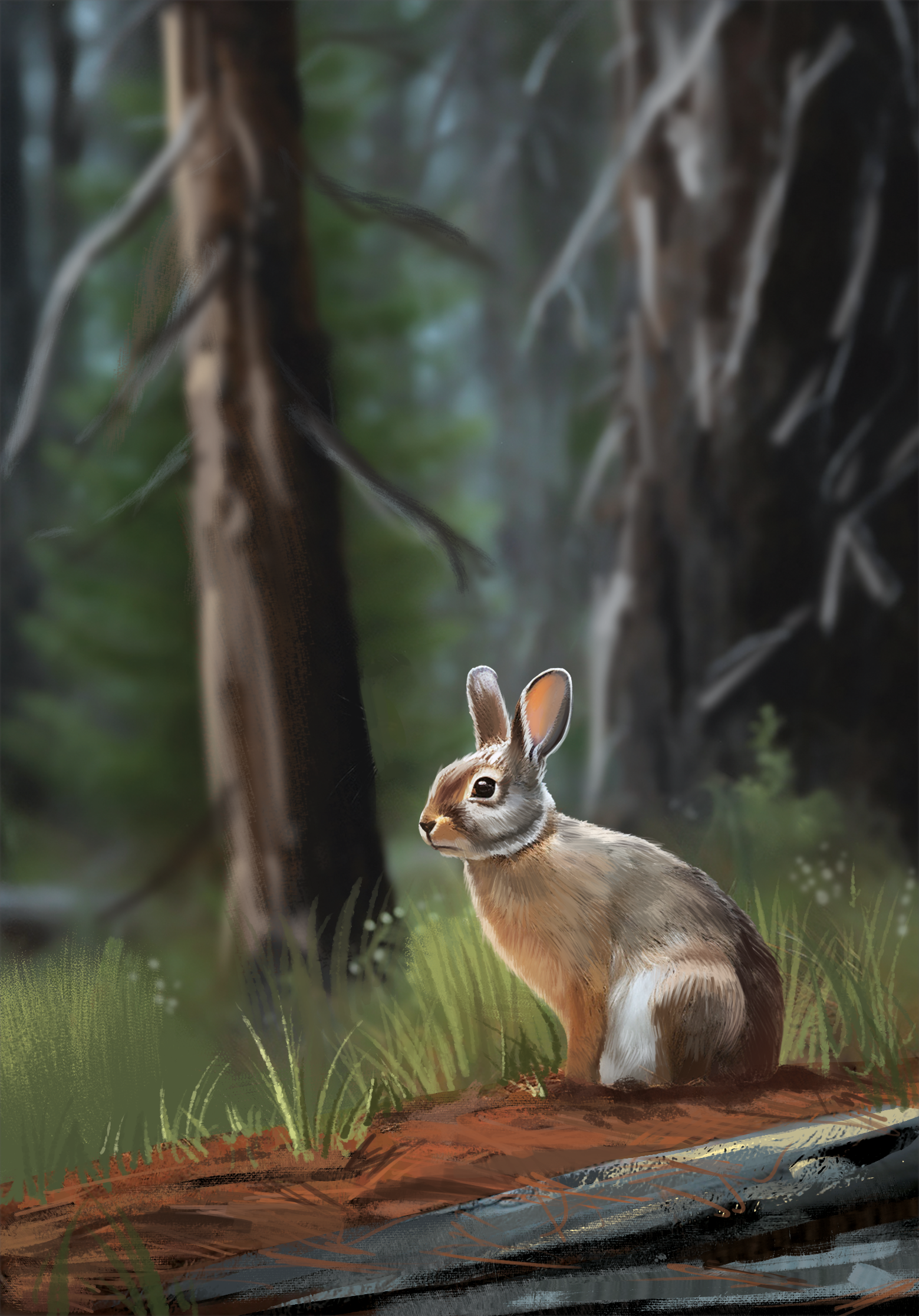 Western Legends Stories - Lapin
