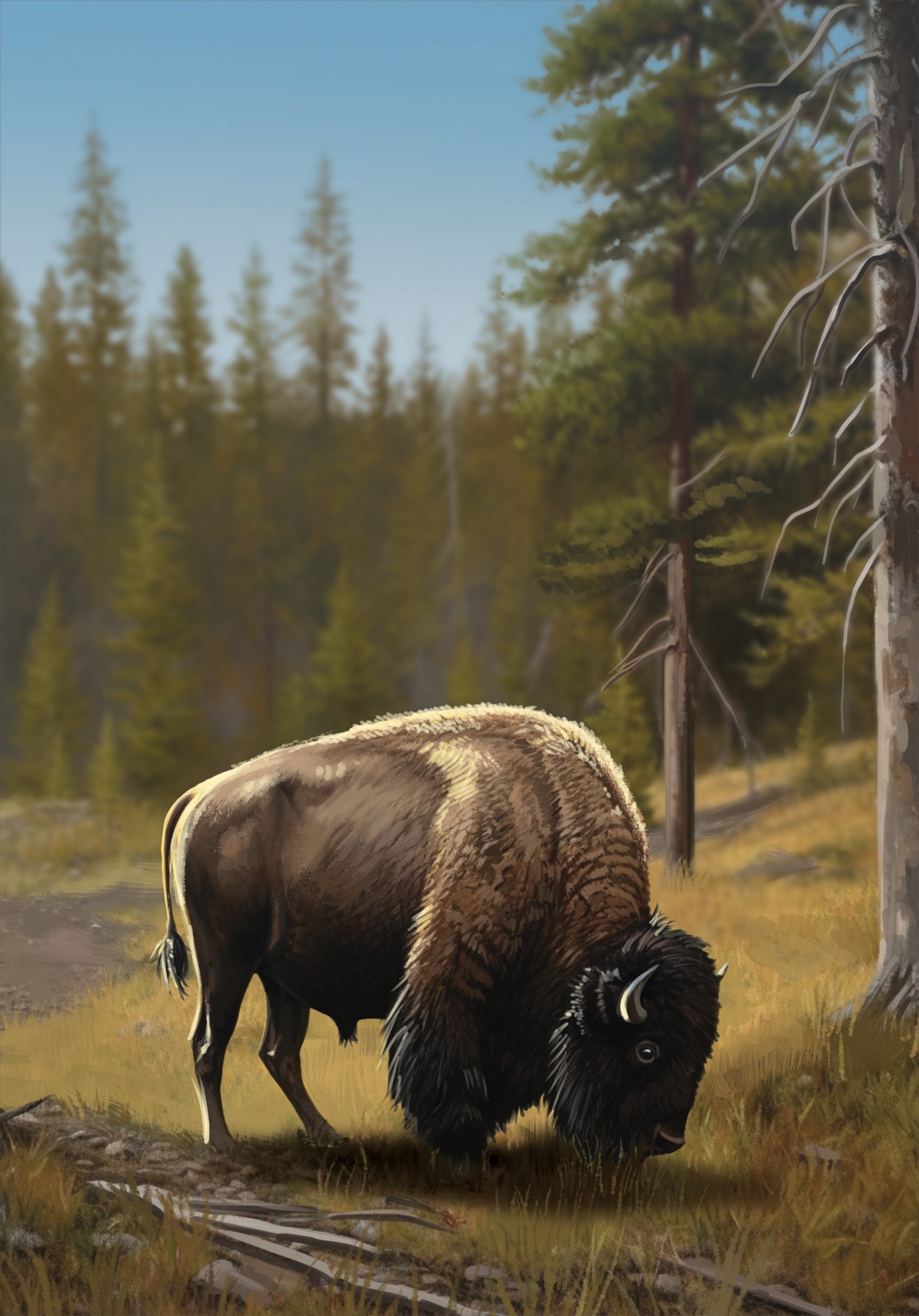 Western Legends Stories - Bison