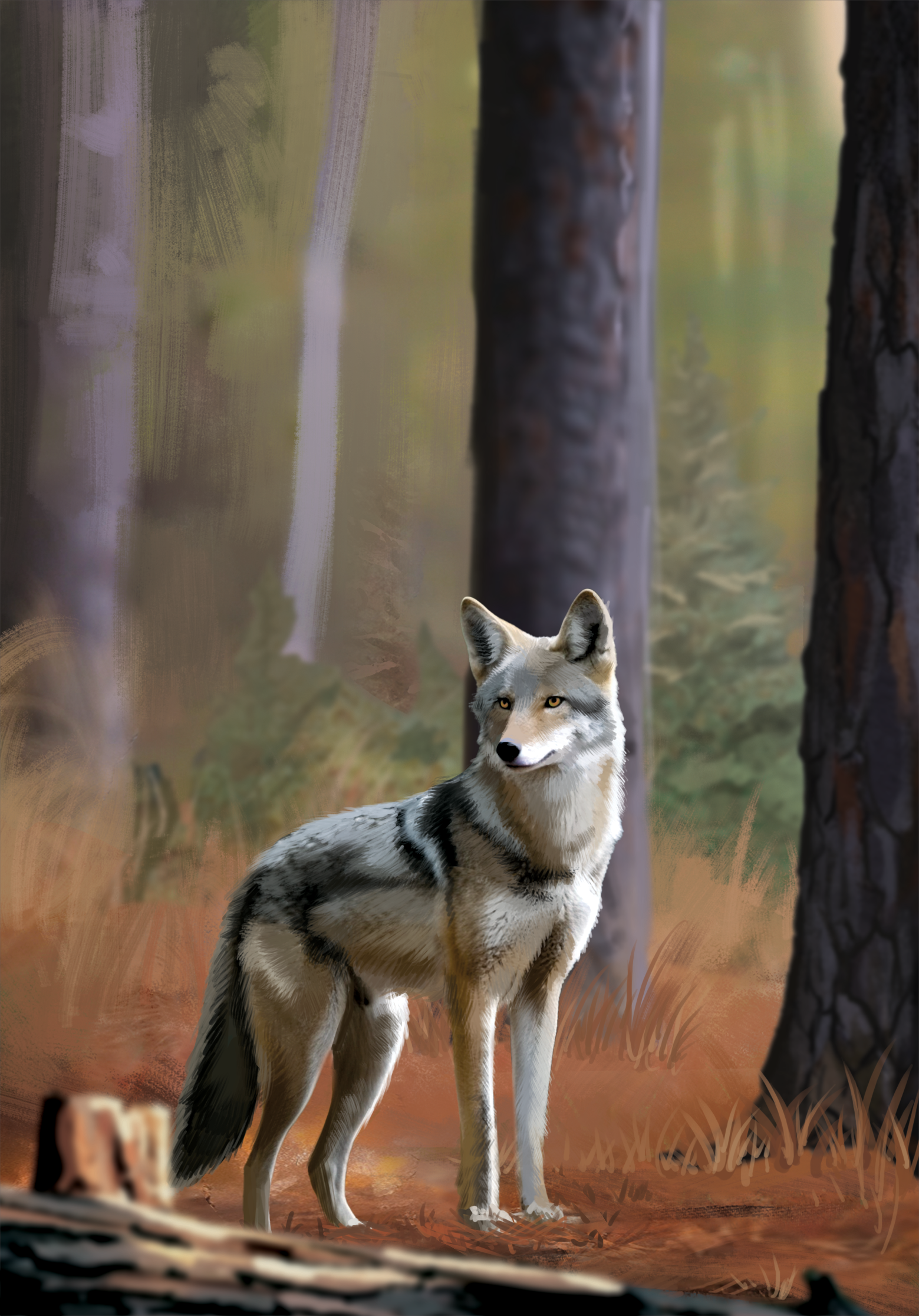 Western Legends Stories - Coyote