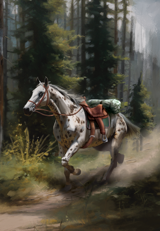 Western Legends Stories - Appaloosa