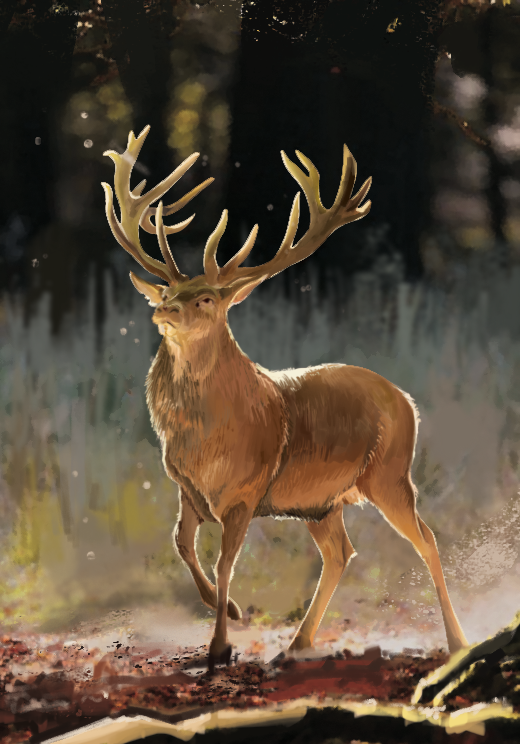 Western Legends Stories - Wapiti