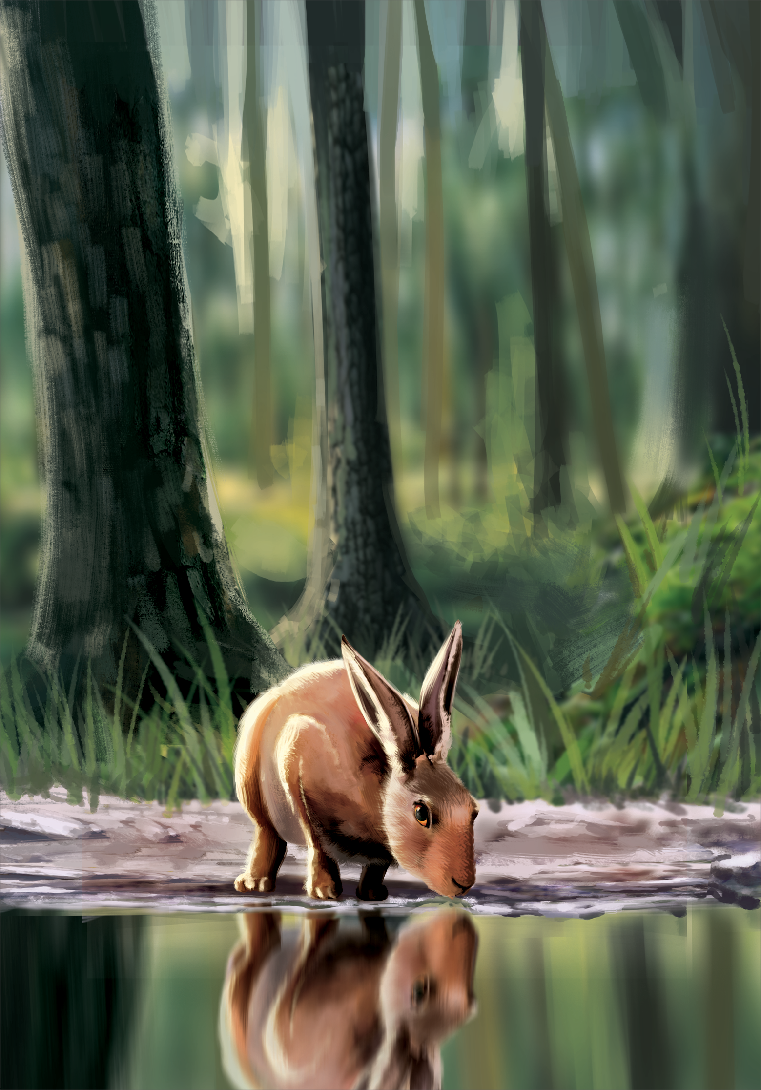 Western Legends Stories - Lièvre