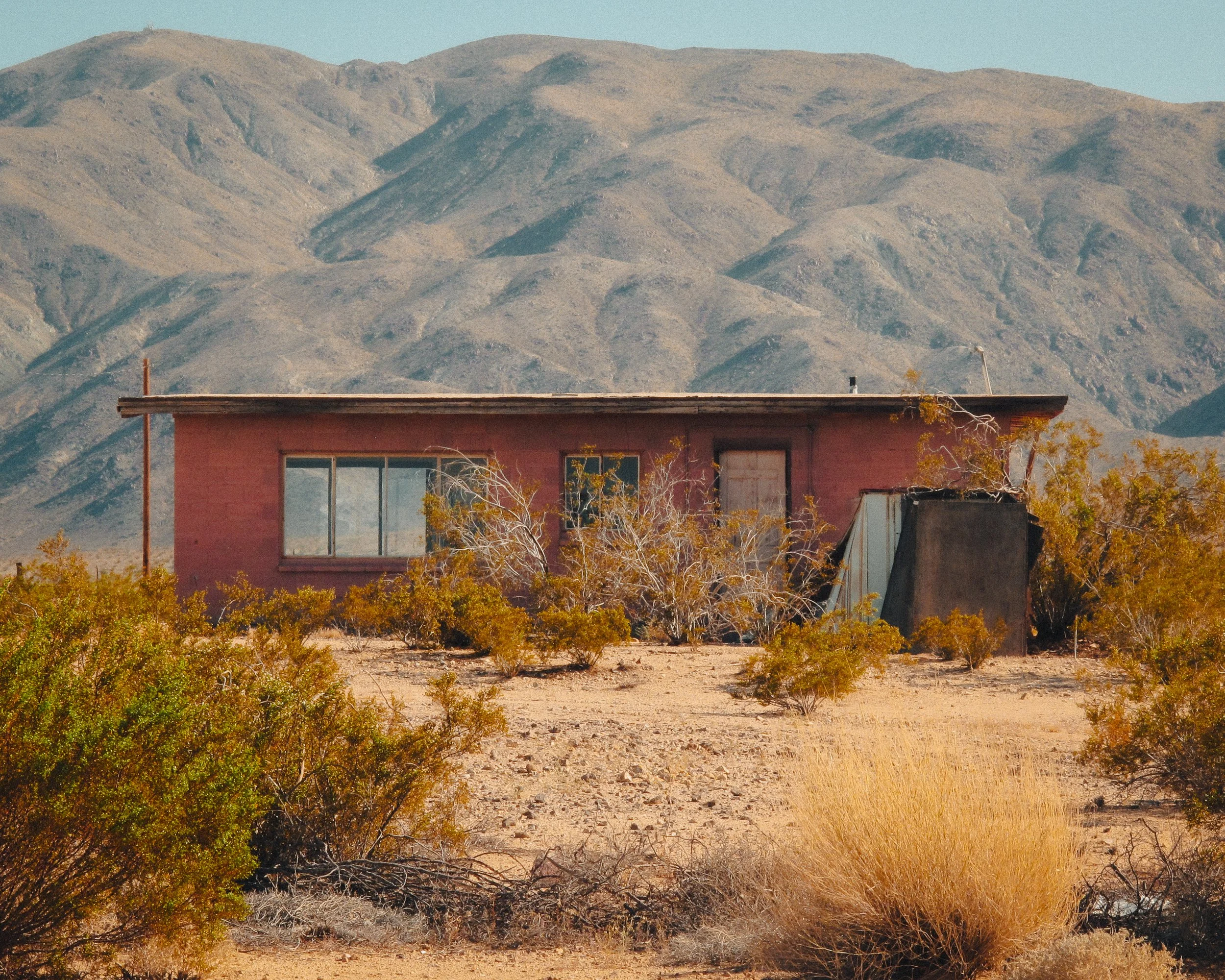 Joshua Tree_Photo_ANALOG_235.jpg