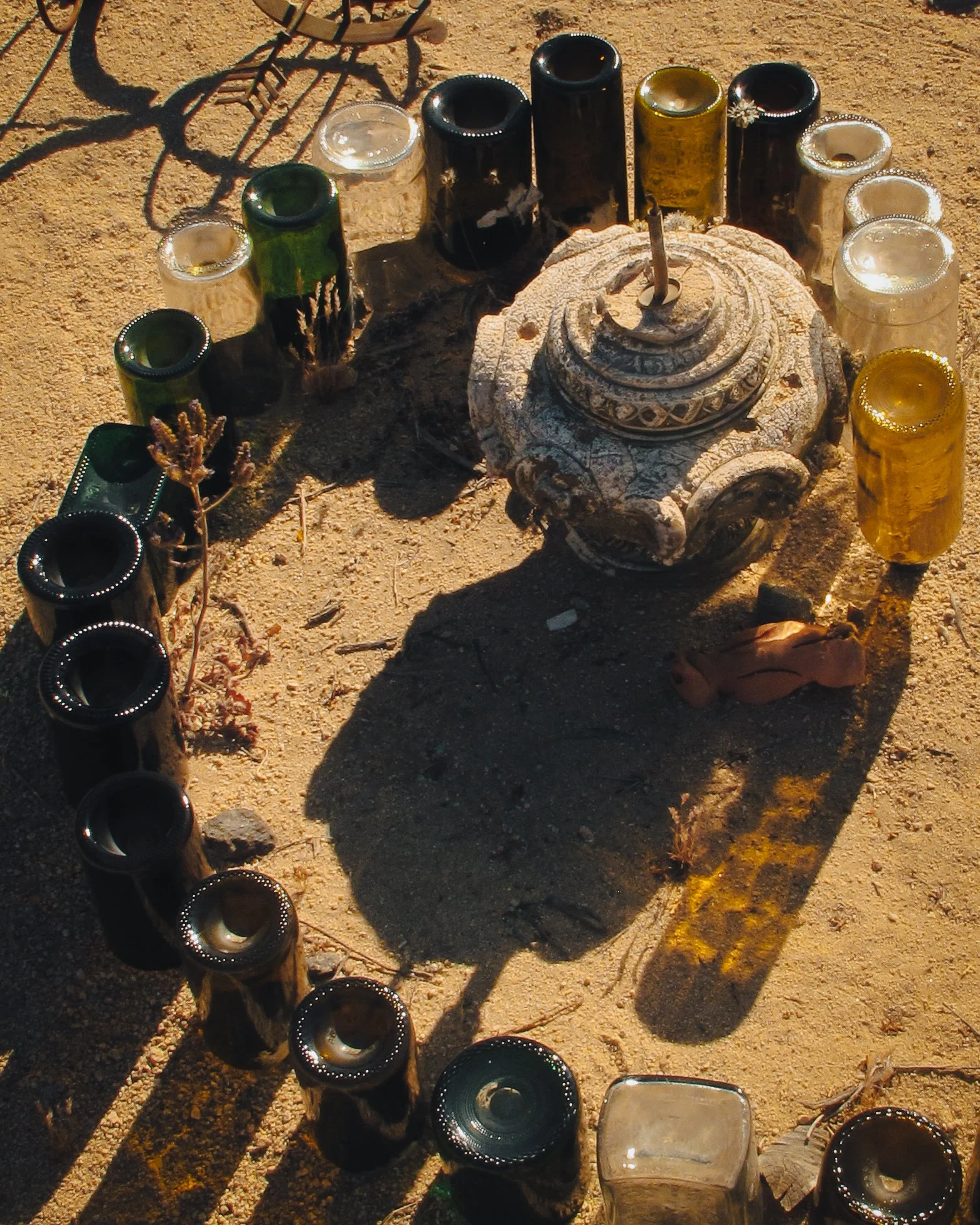 Joshua Tree_Photo_ANALOG_250.jpg