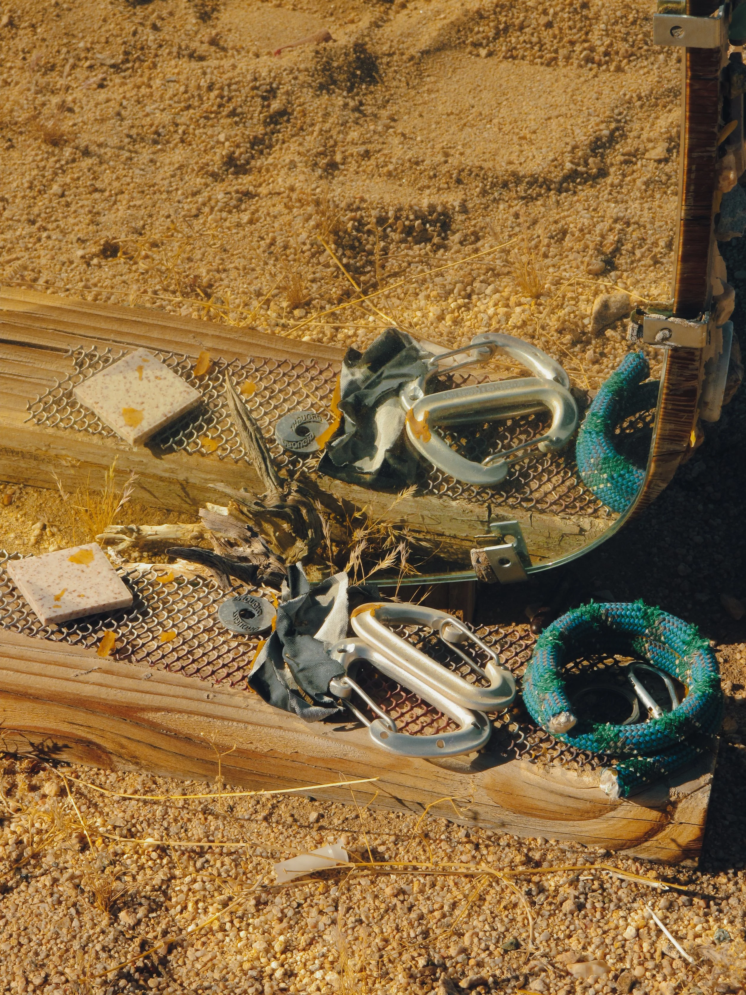 Joshua Tree_Photo_ANALOG_245.jpg