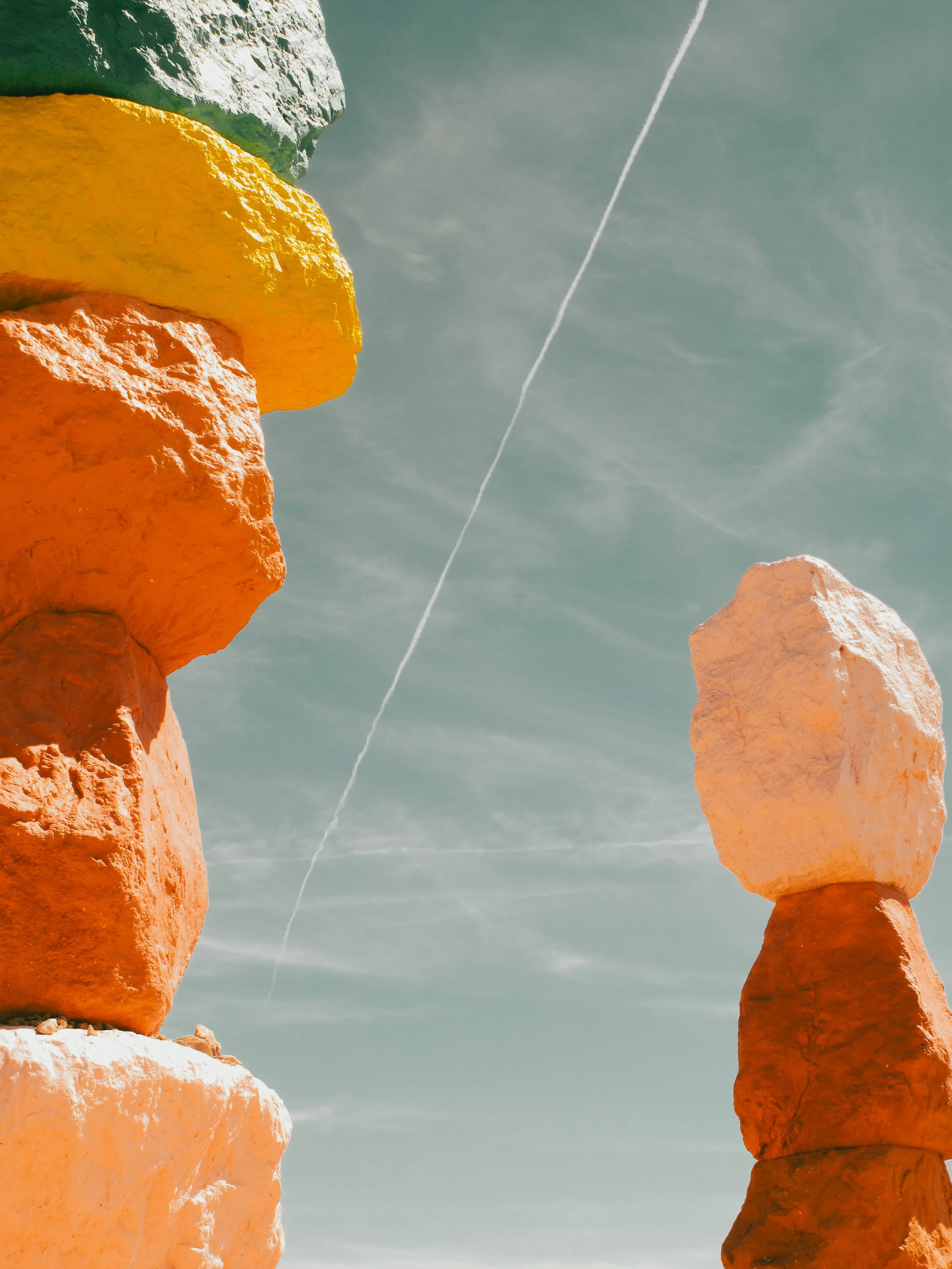 Joshua Tree_Photo_ANALOG_347.jpg