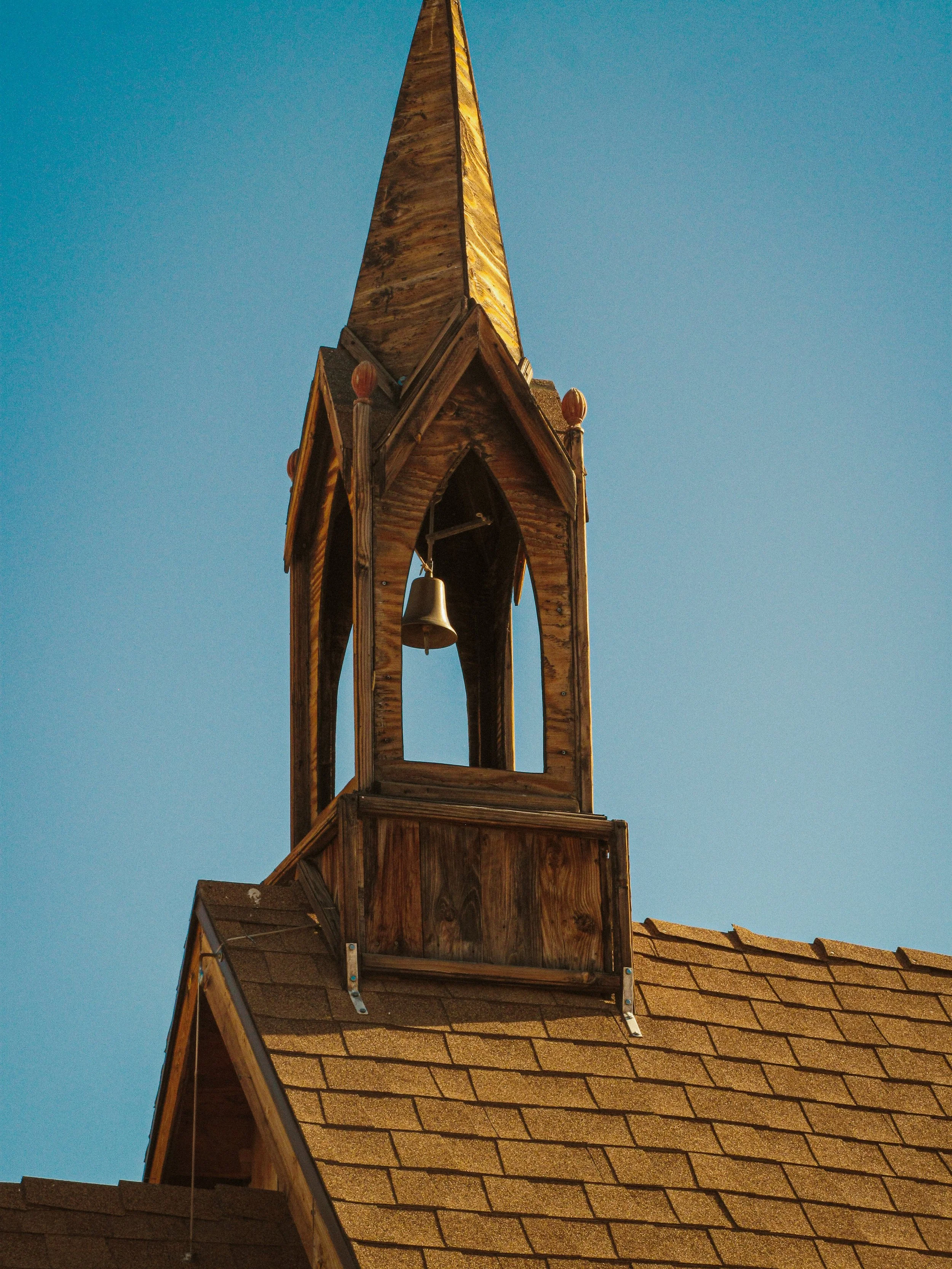 Joshua Tree_Photo_ANALOG_195.jpg