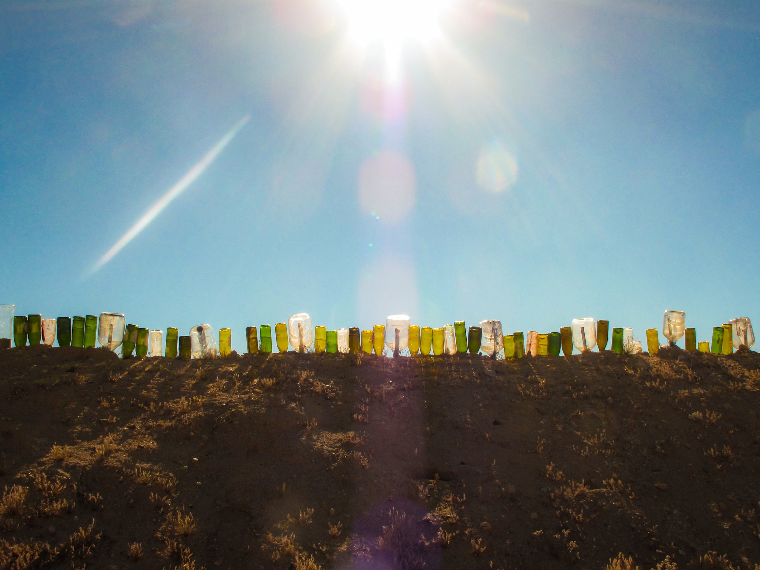 Joshua Tree_Photo_ANALOG_229.jpg