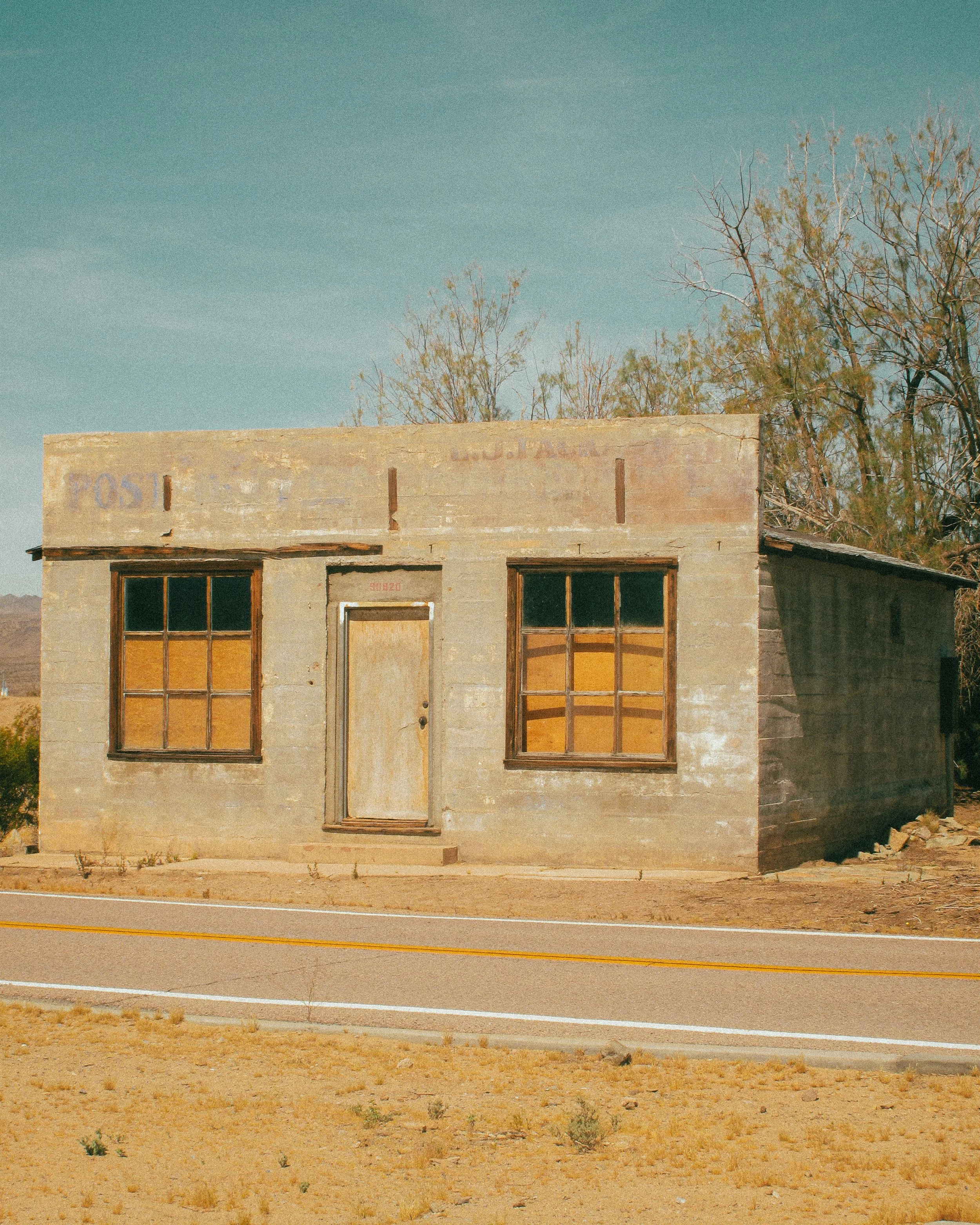 Joshua Tree_Photo_ANALOG_253.jpg