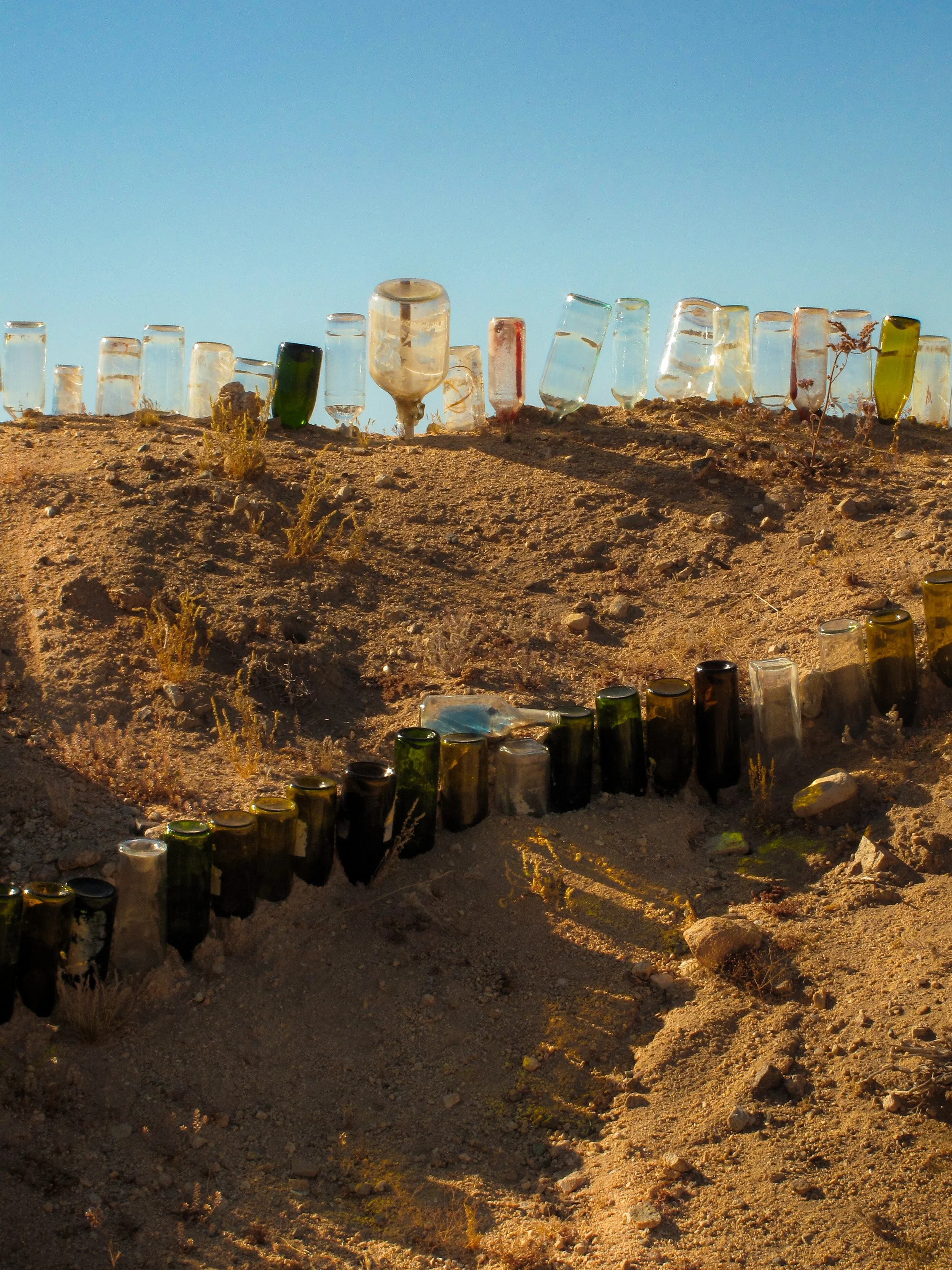Joshua Tree_Photo_ANALOG_230.jpg