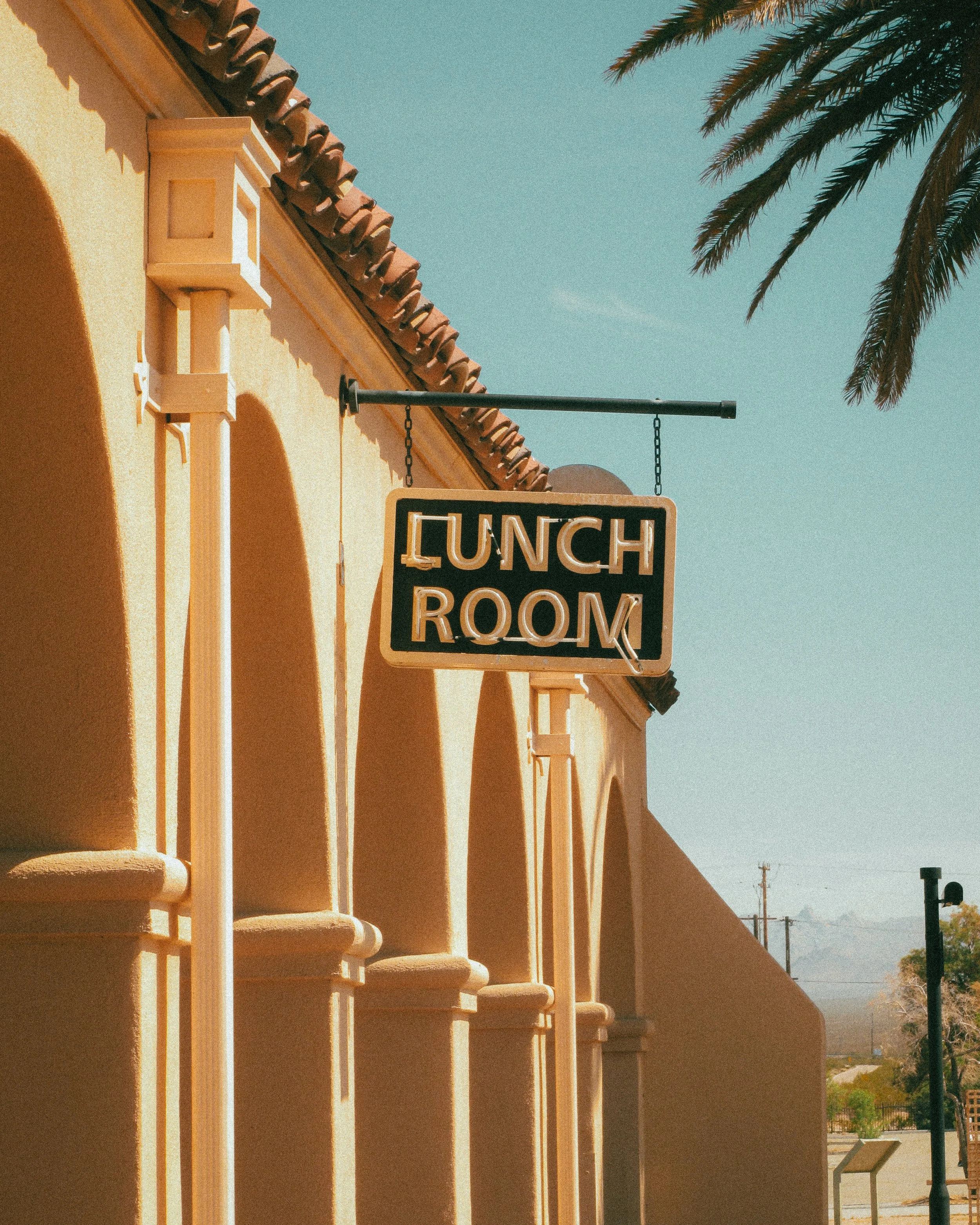 Joshua Tree_Photo_ANALOG_256.jpg