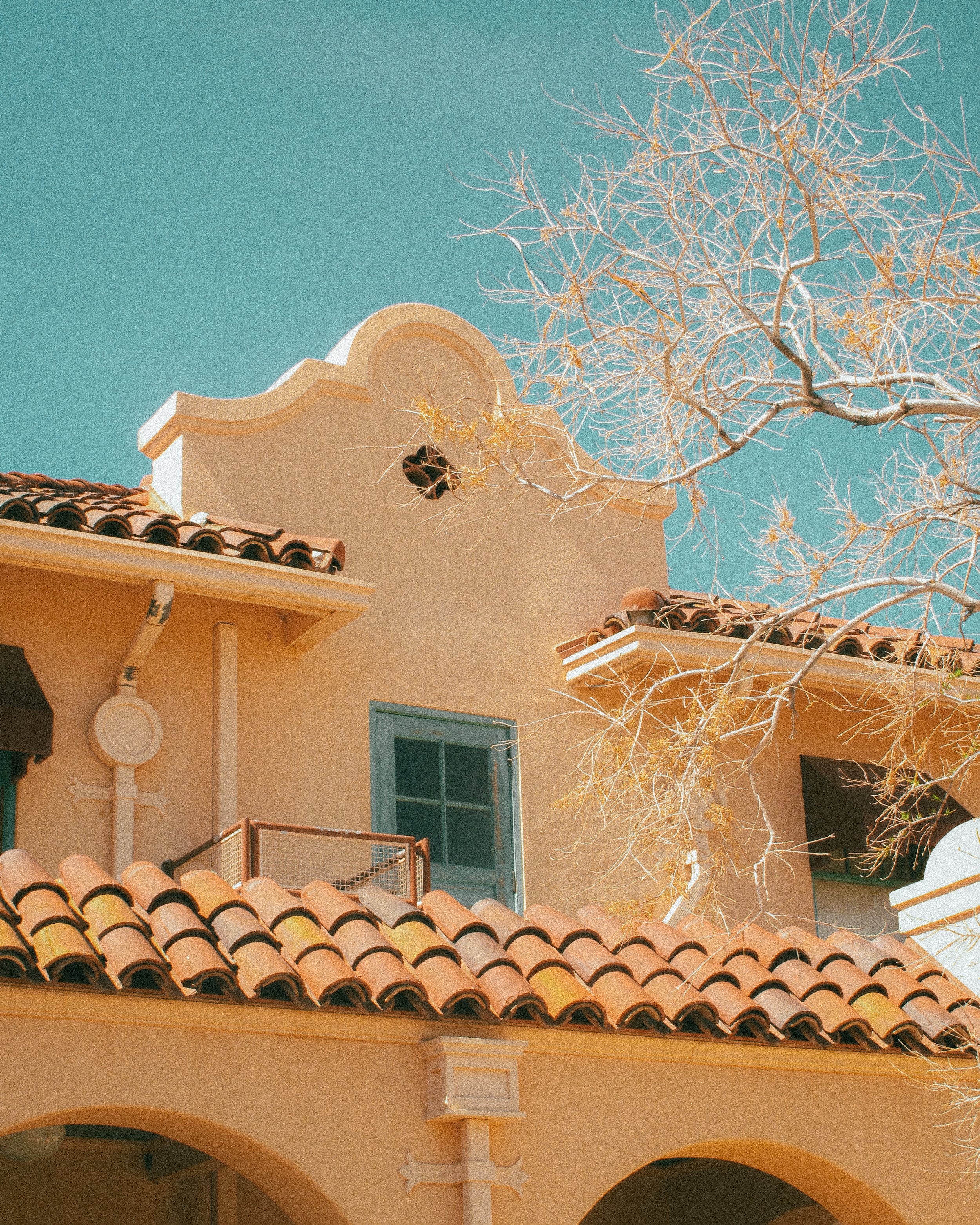 Joshua Tree_Photo_ANALOG_254.jpg