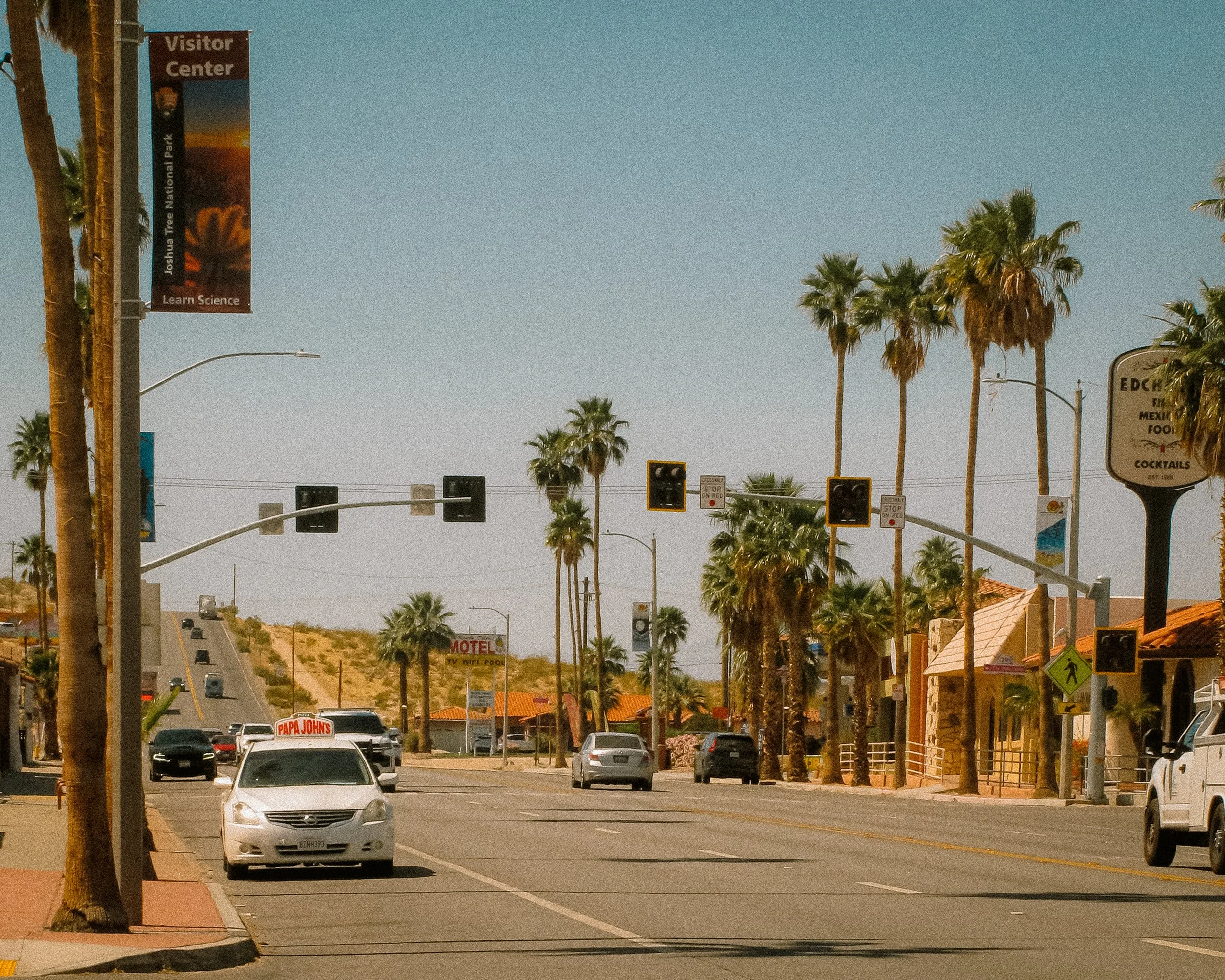Joshua Tree_Photo_ANALOG_109.jpg