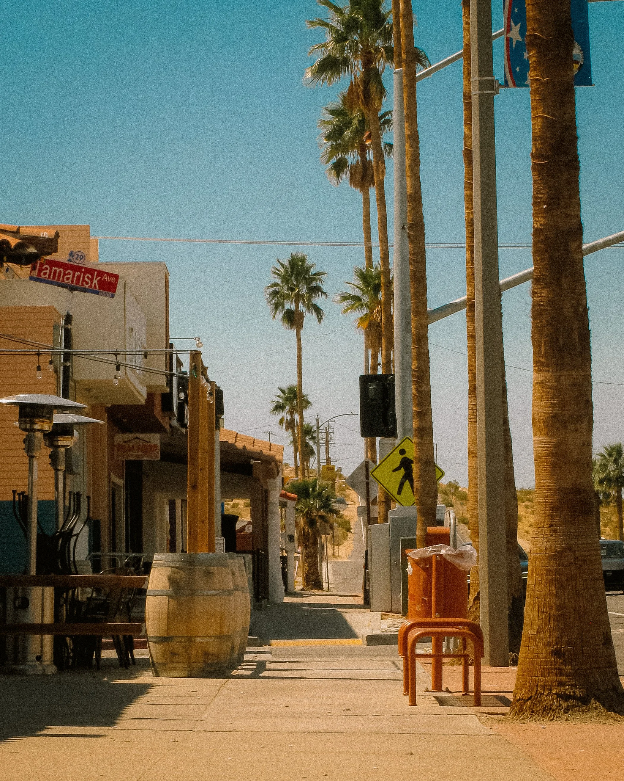Joshua Tree_Photo_ANALOG_123.jpg