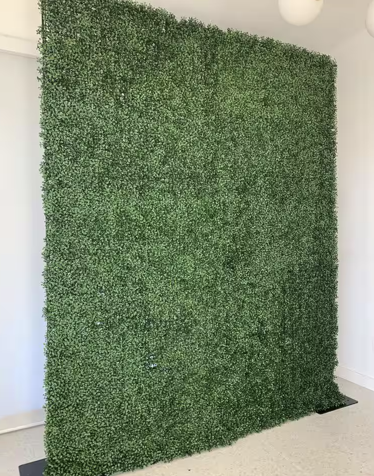 Boxwood Greenery Wall
