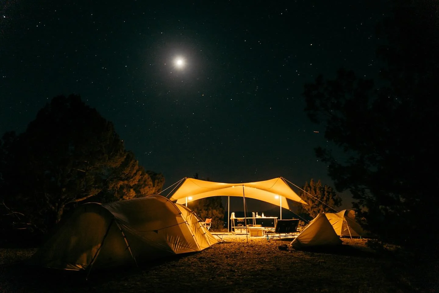 F O C U S : What&rsquo;s it like to look at a feeling? 
.
.
.
.
#campyoshifeedsthesoul
pc: @alexforestier_