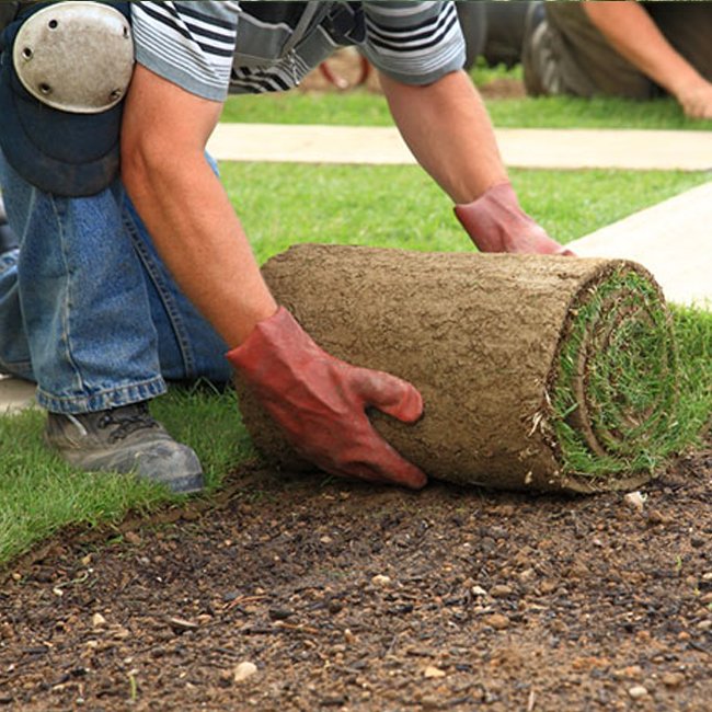 Florida landscaping Business Brokers