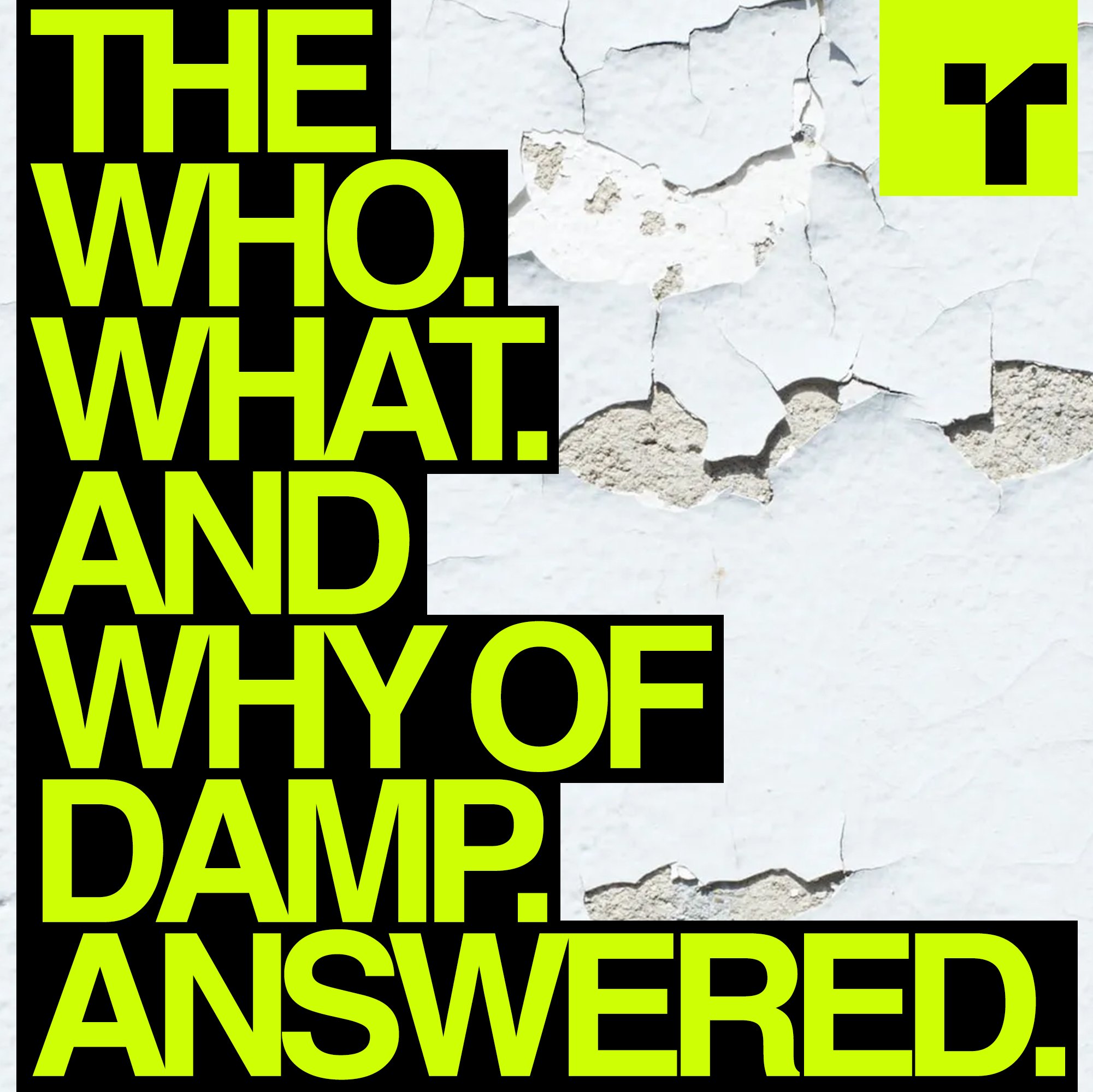 Text on a wall that reads, "The who. What. And why of damp. Answered." with a cracked and peeling white painted wall as the background.