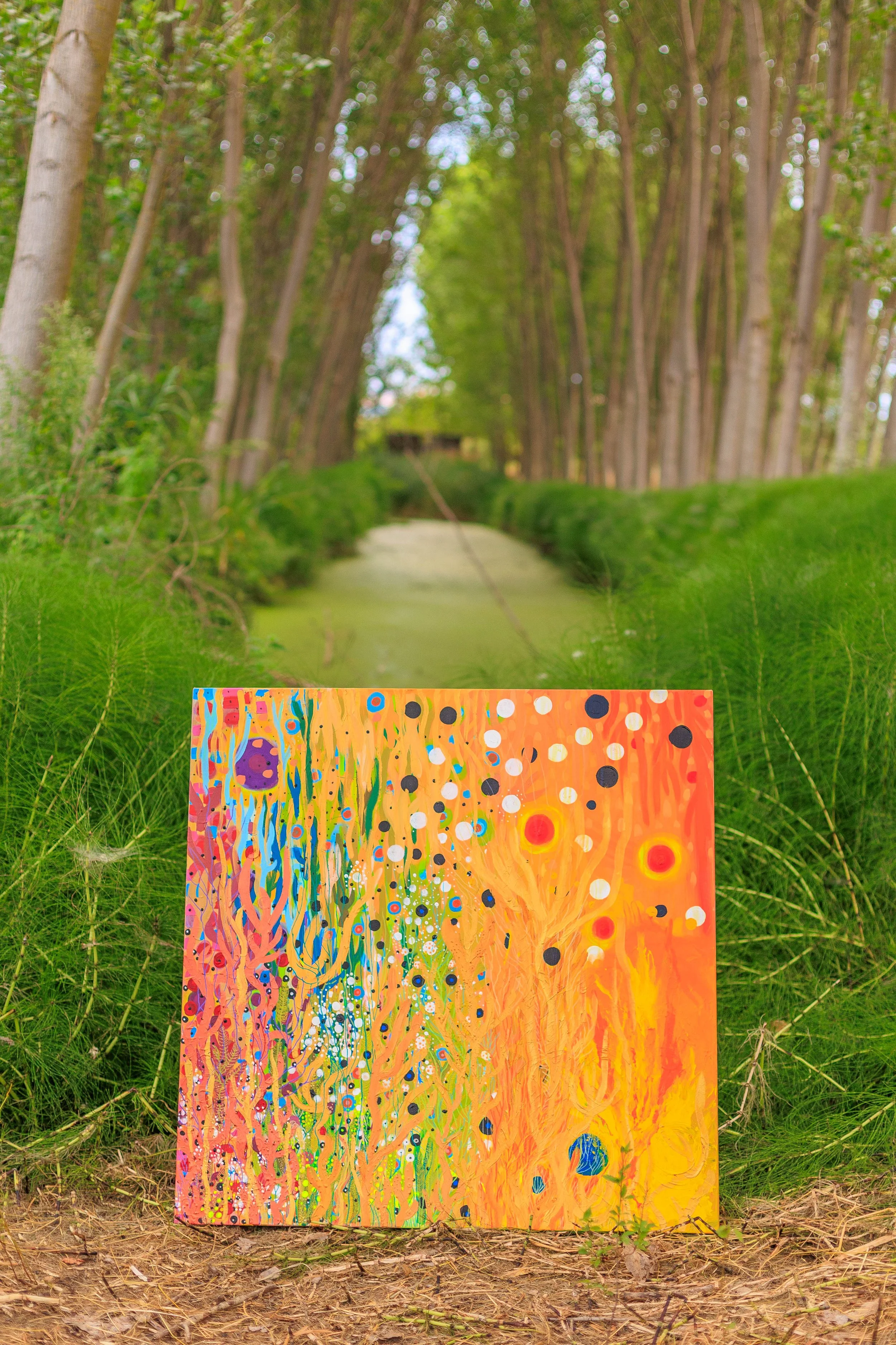 Organic 100x100x4cm
