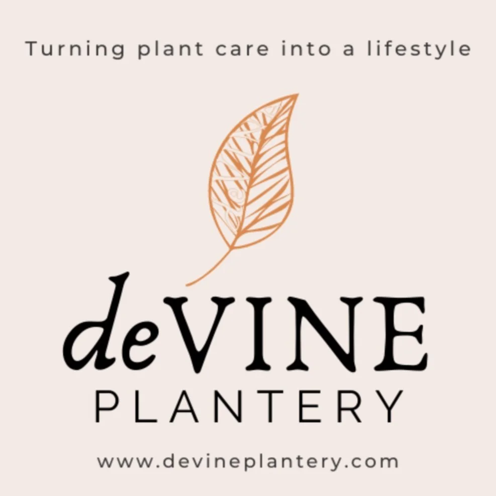 Screenshot 2024-11-16 at 9.40.18 AM.jpg