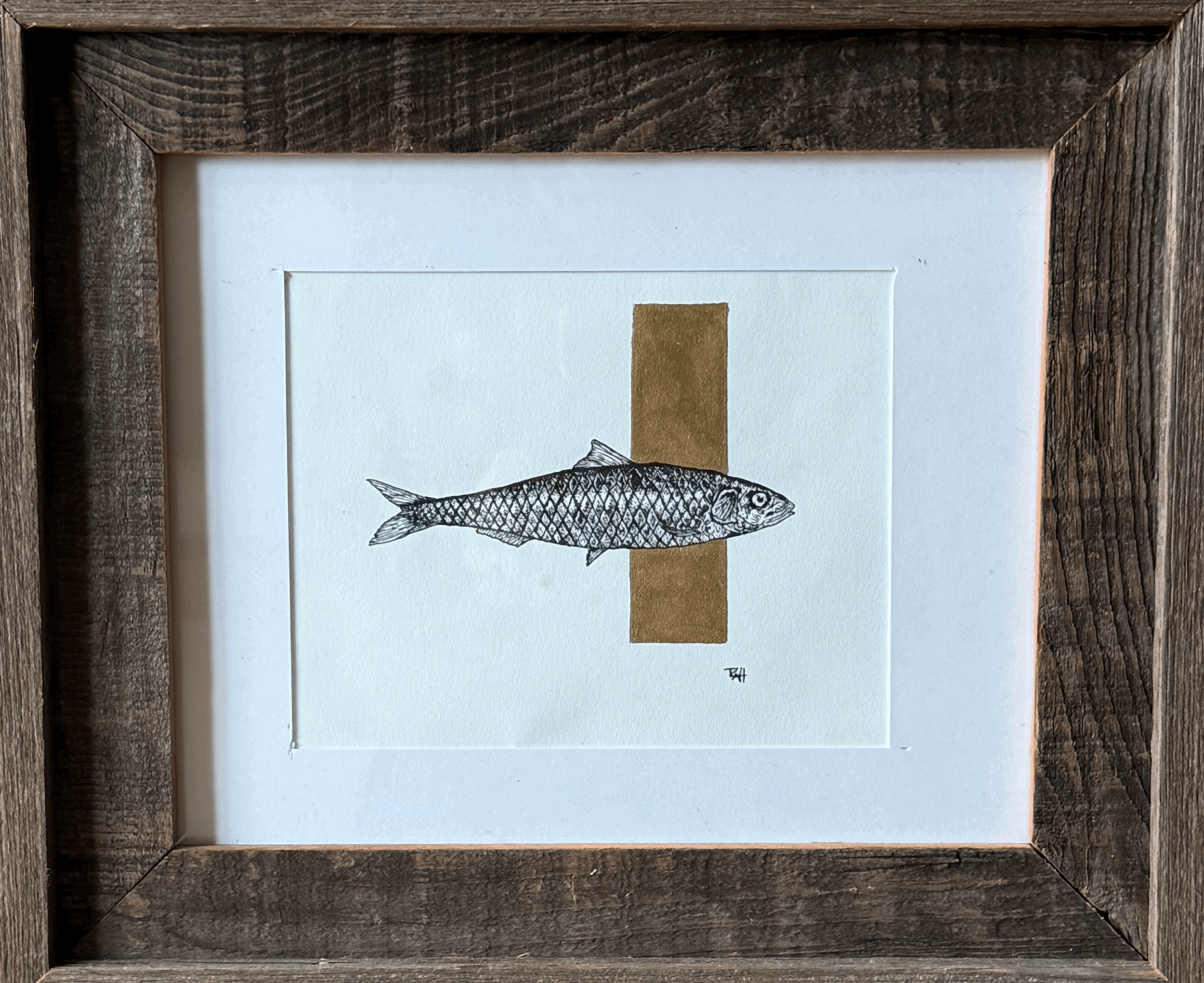 The Sardine