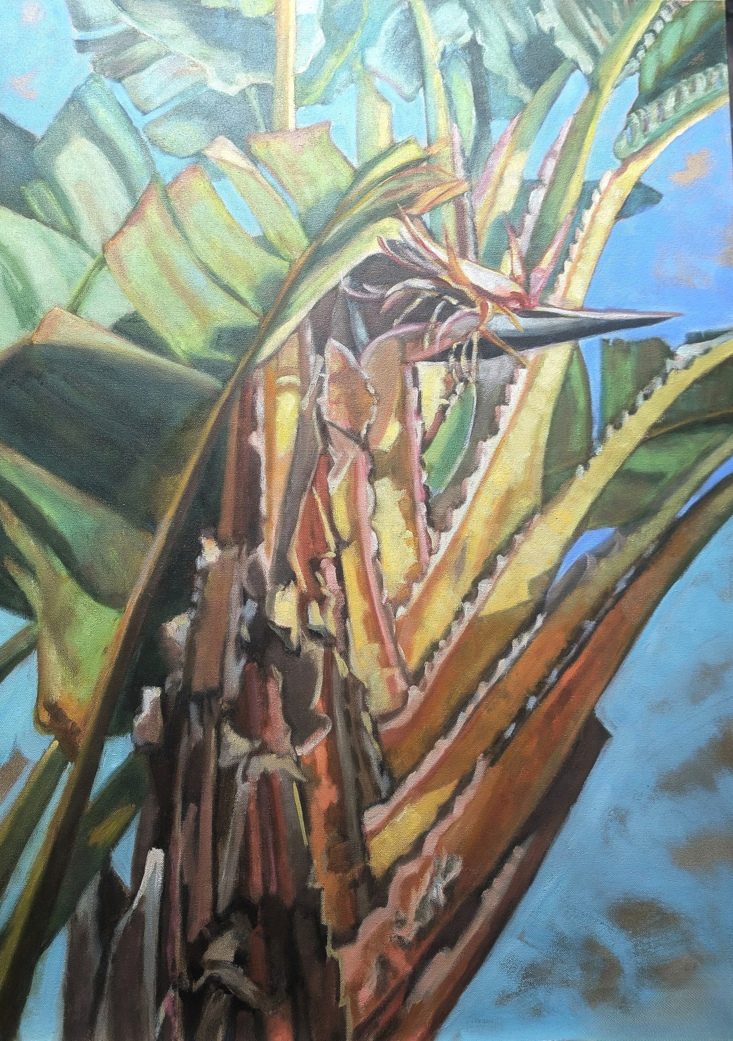 Bird of Paradise Palm 40" x 30"  OIl on Canvas