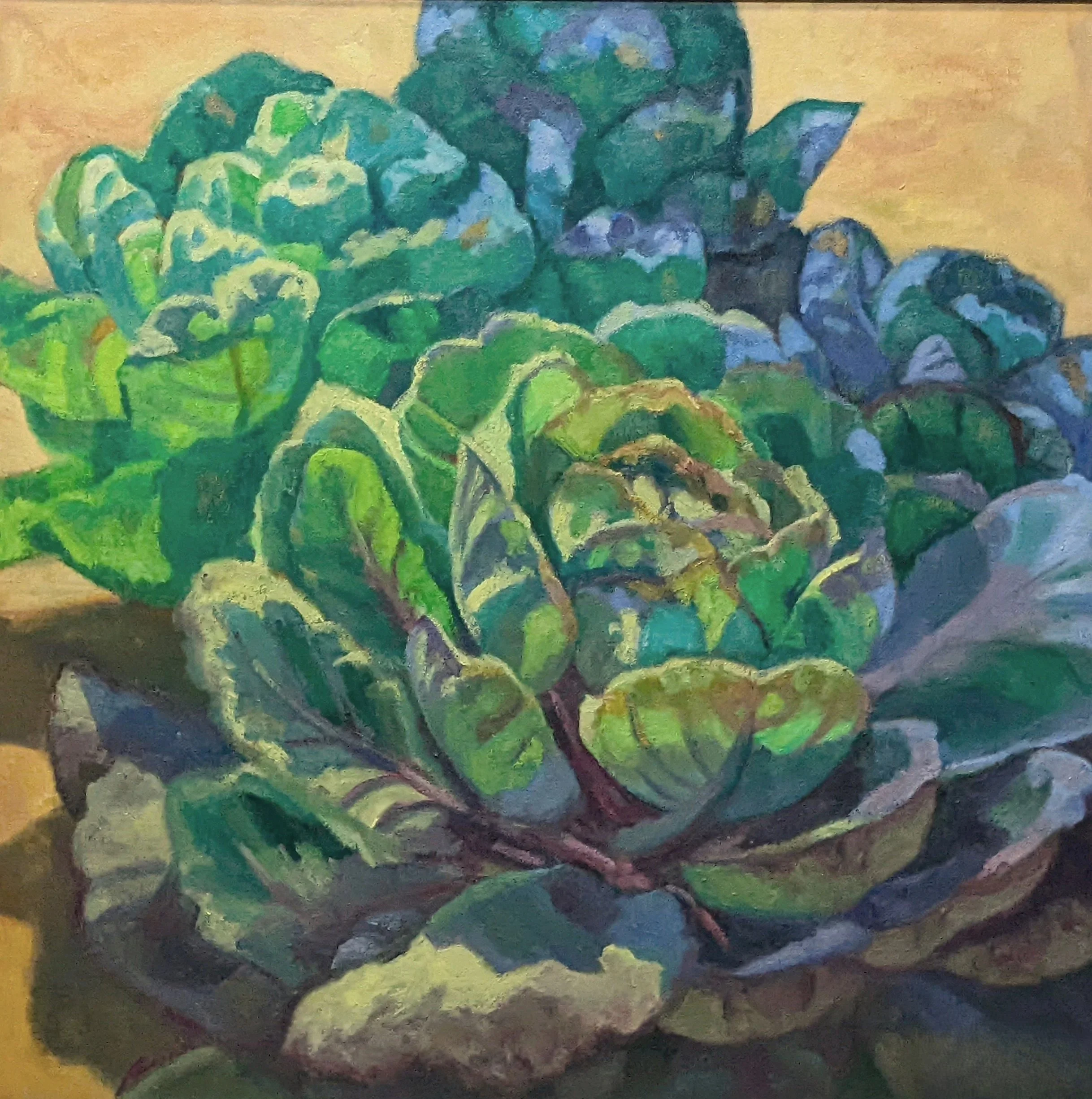 Cabbages 24" x 24"Oil on Canvas