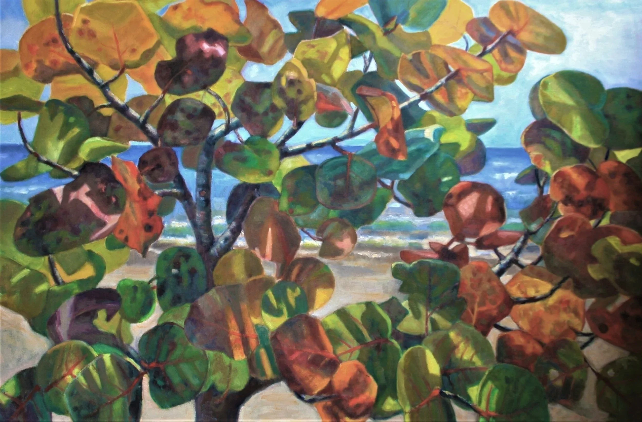 Beach Seagrapes. 36" x 54"