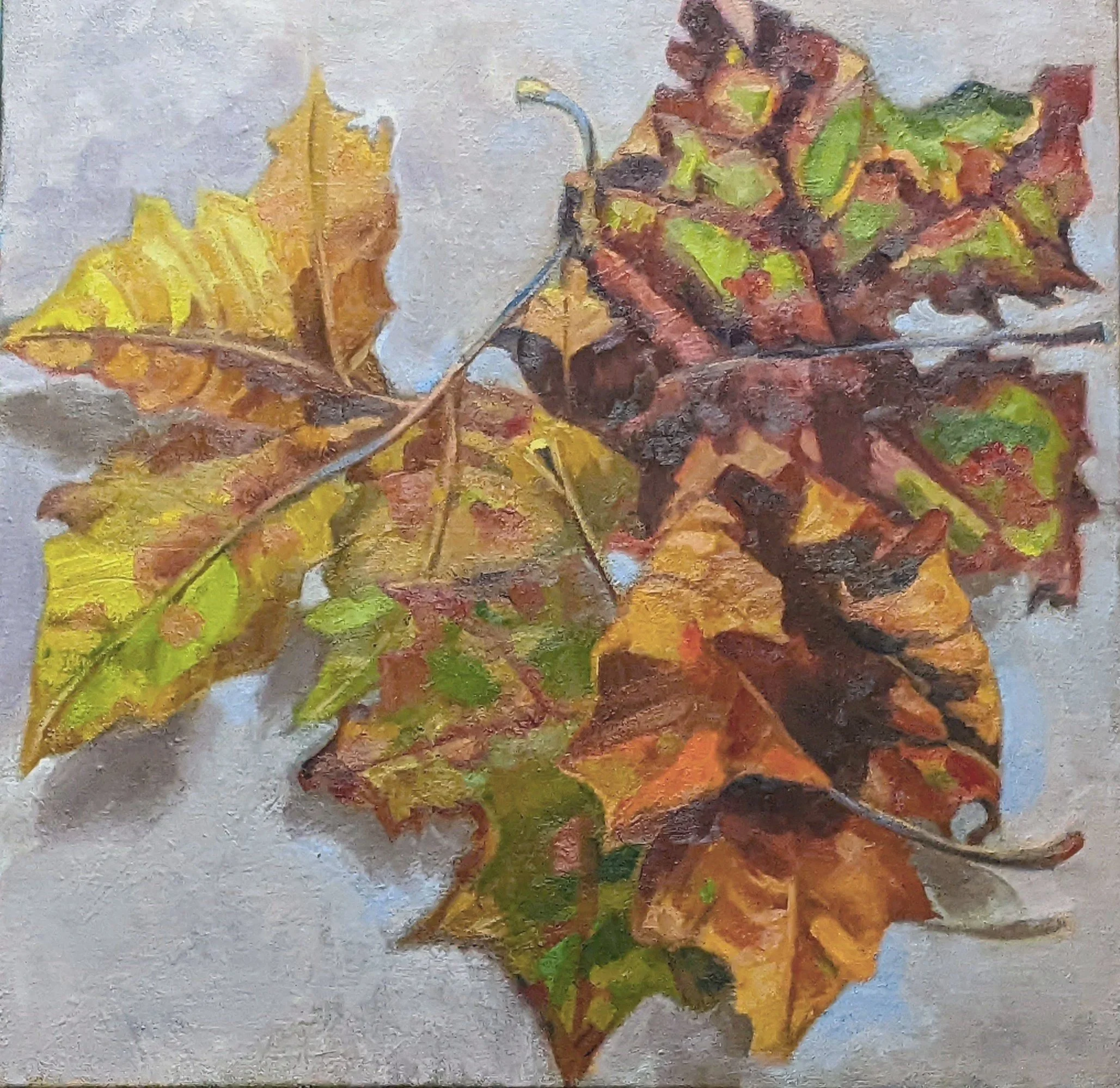 Autumn Leaves 20" x 20"