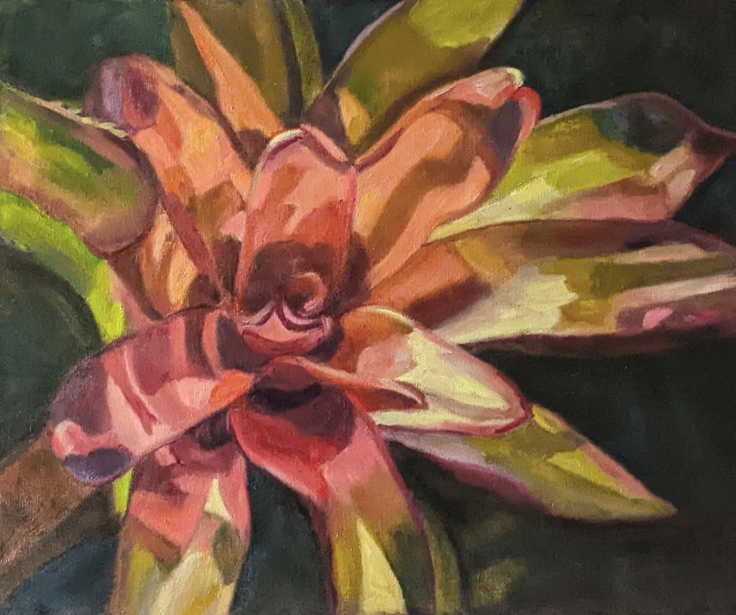 Blushing Bromeliad, 20" x 24"