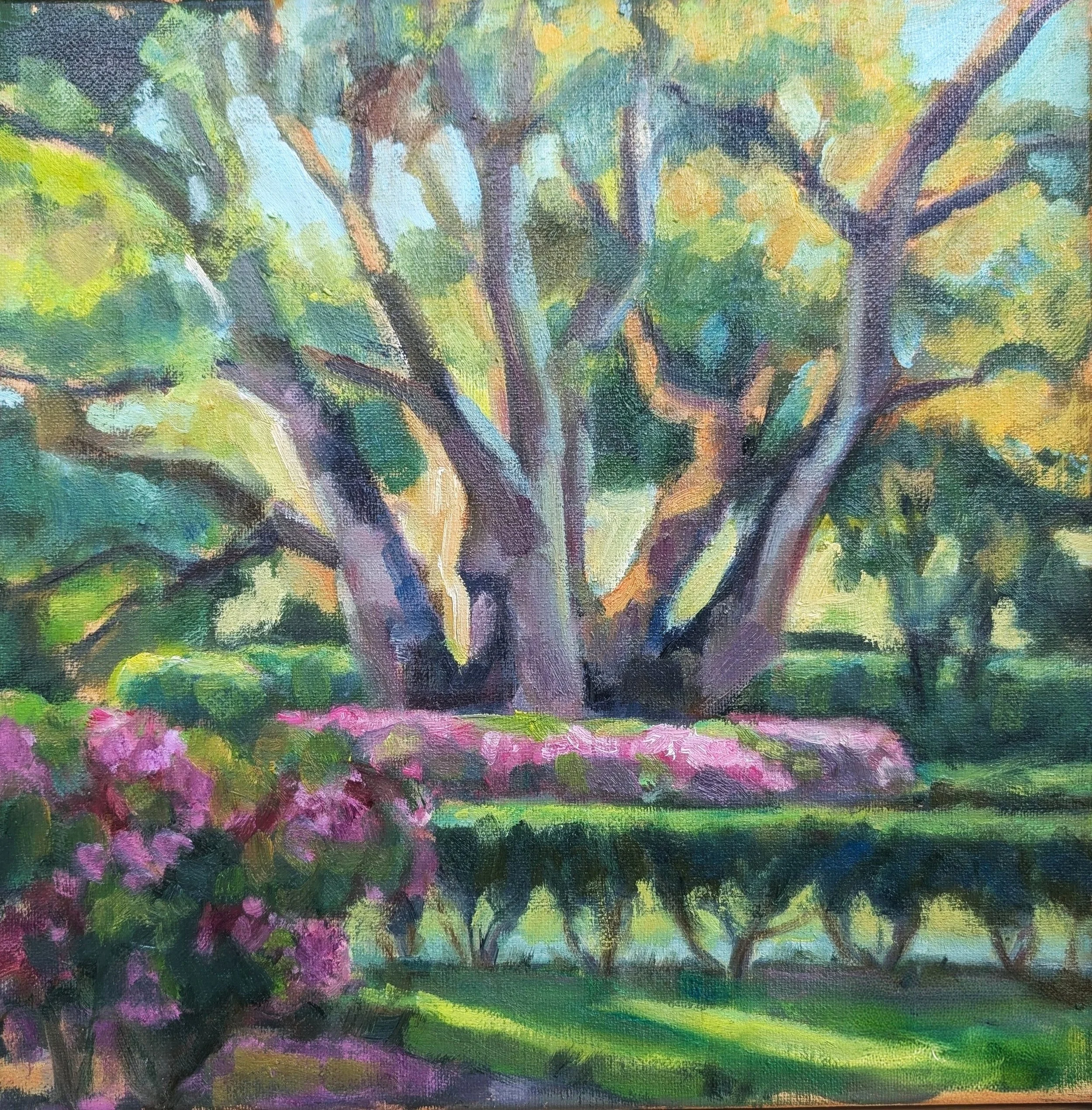 Oak and Azaleas 12" x 12" Oil