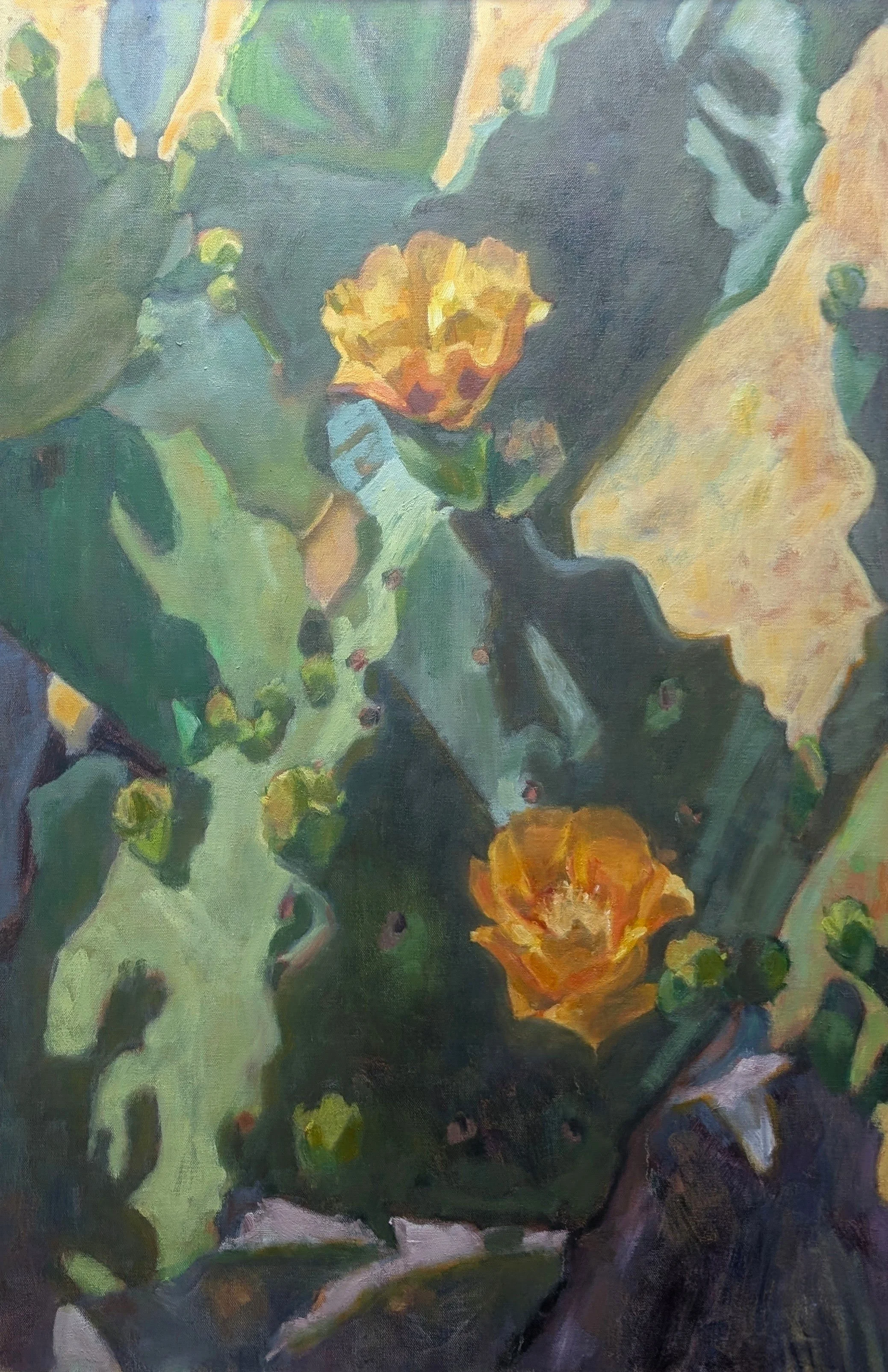 Cactus Blooms 36" x 24"  OIl on Canvas