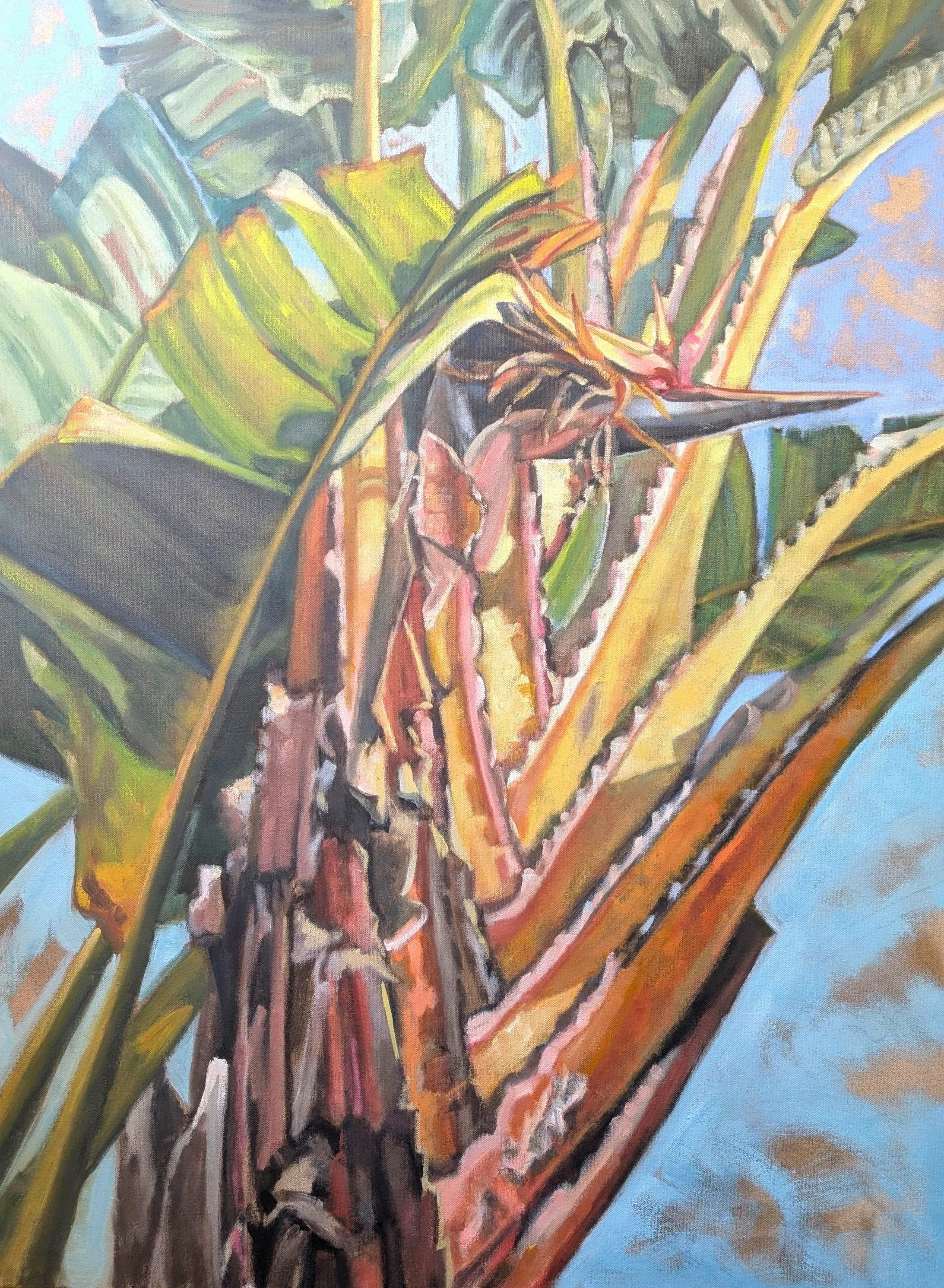 Bird of Paradise Palm 40" x 30" Oil